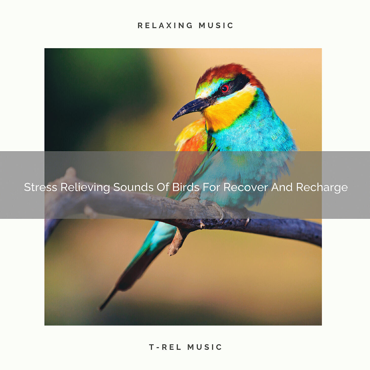 Nature Sounds For Sleep - Whispering Tones Of Birds For Chill And Deep Sleep