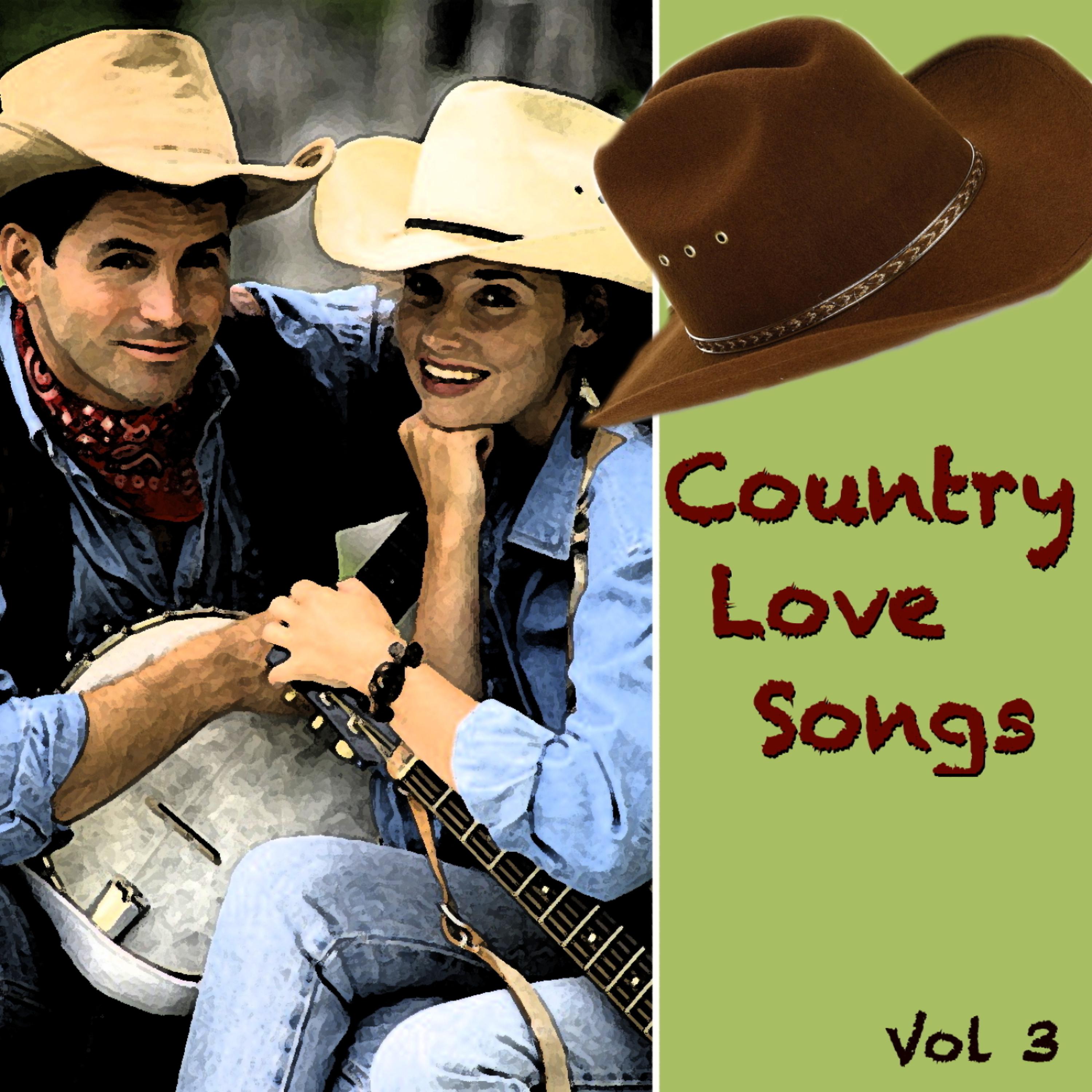 Постер альбома Country Love Songs Vol 3