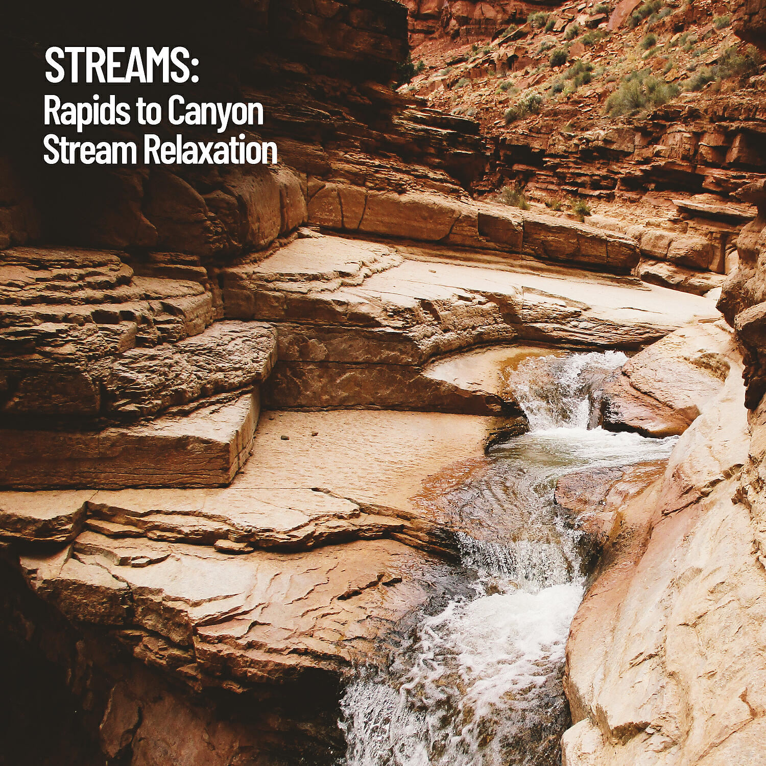 Water Science - Rapid Stream