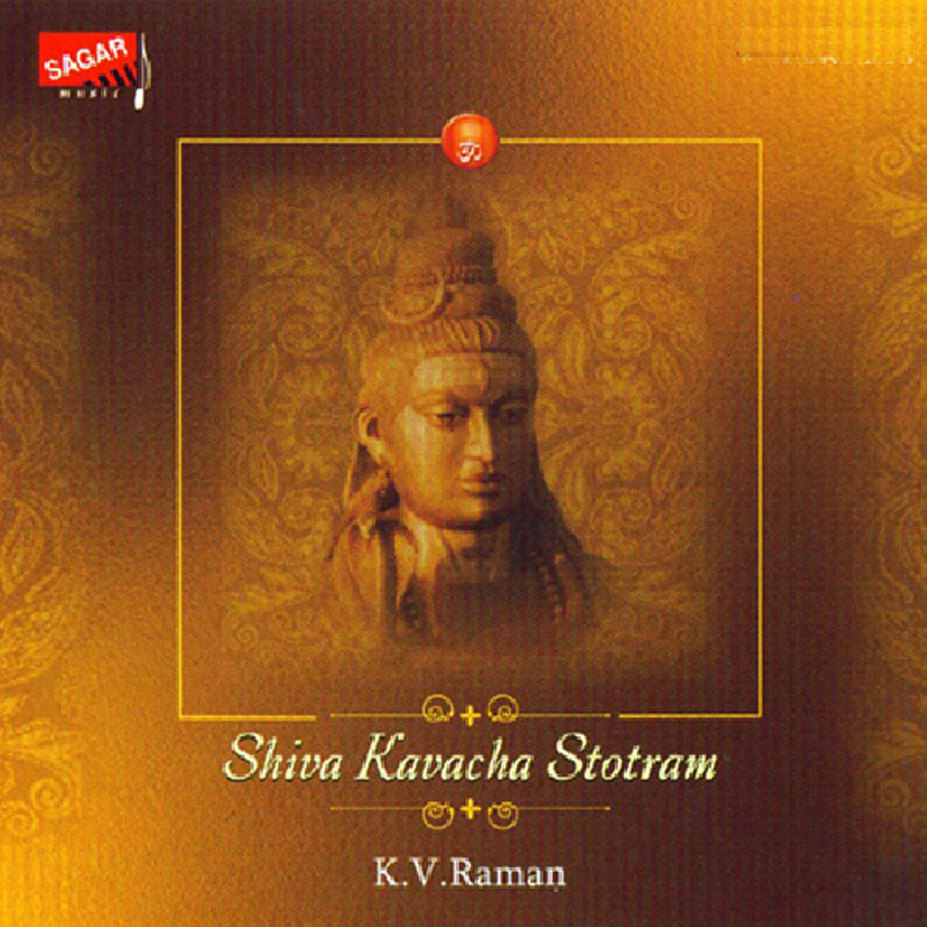 K. V. Raman - Laghunyaasa
