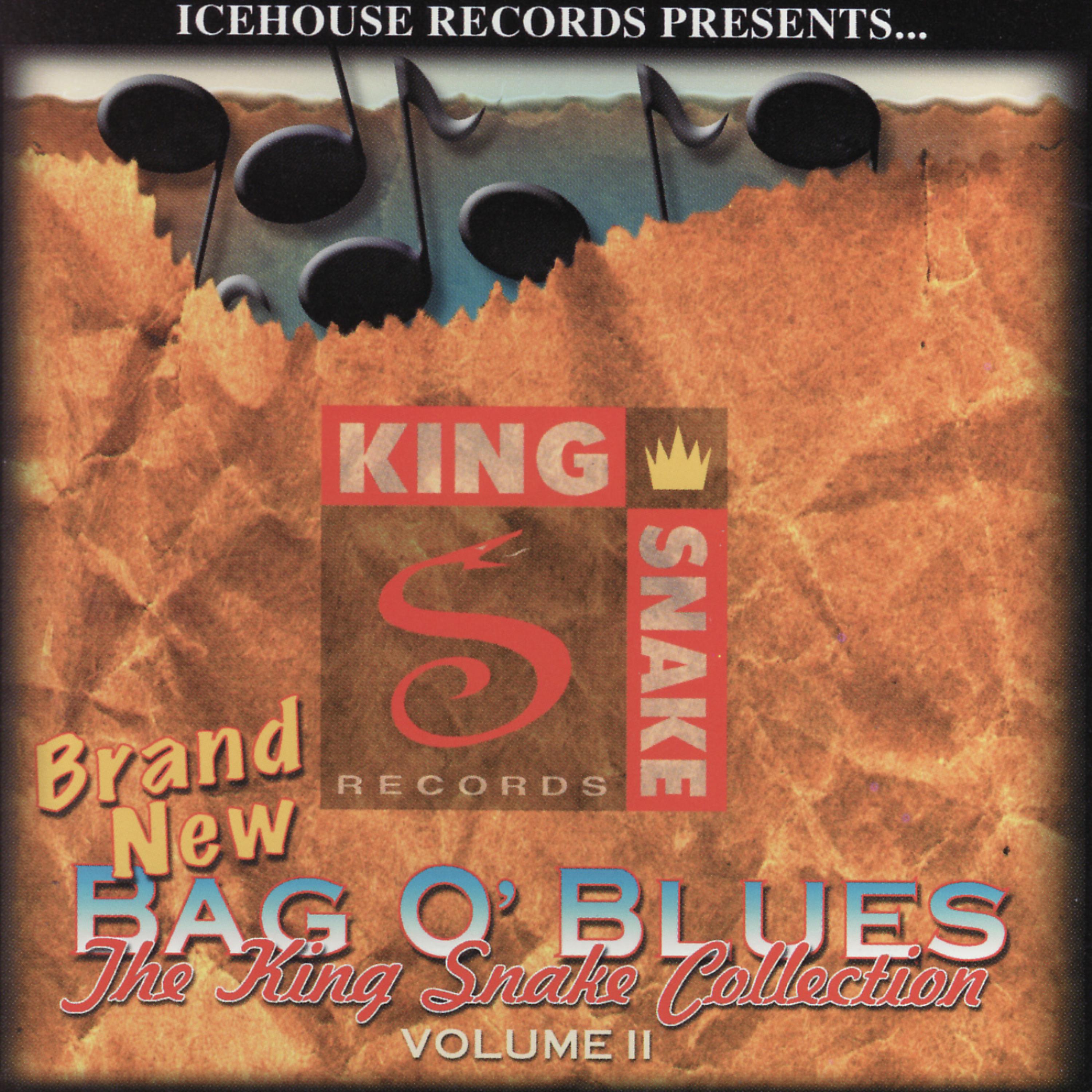 Постер альбома The King Snake Collection: Bag O' Blues Vol. 2