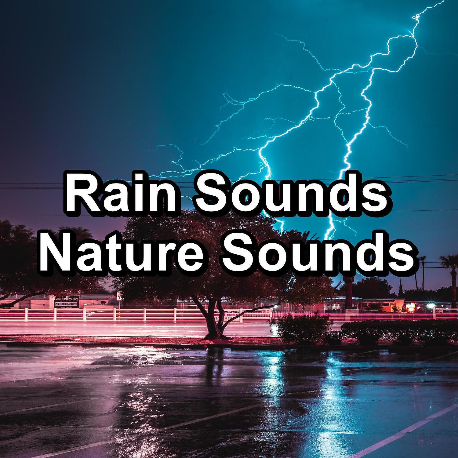 Relax Music Therapy - Moderate Rain With Ocean Waves To Help You Take A Nap