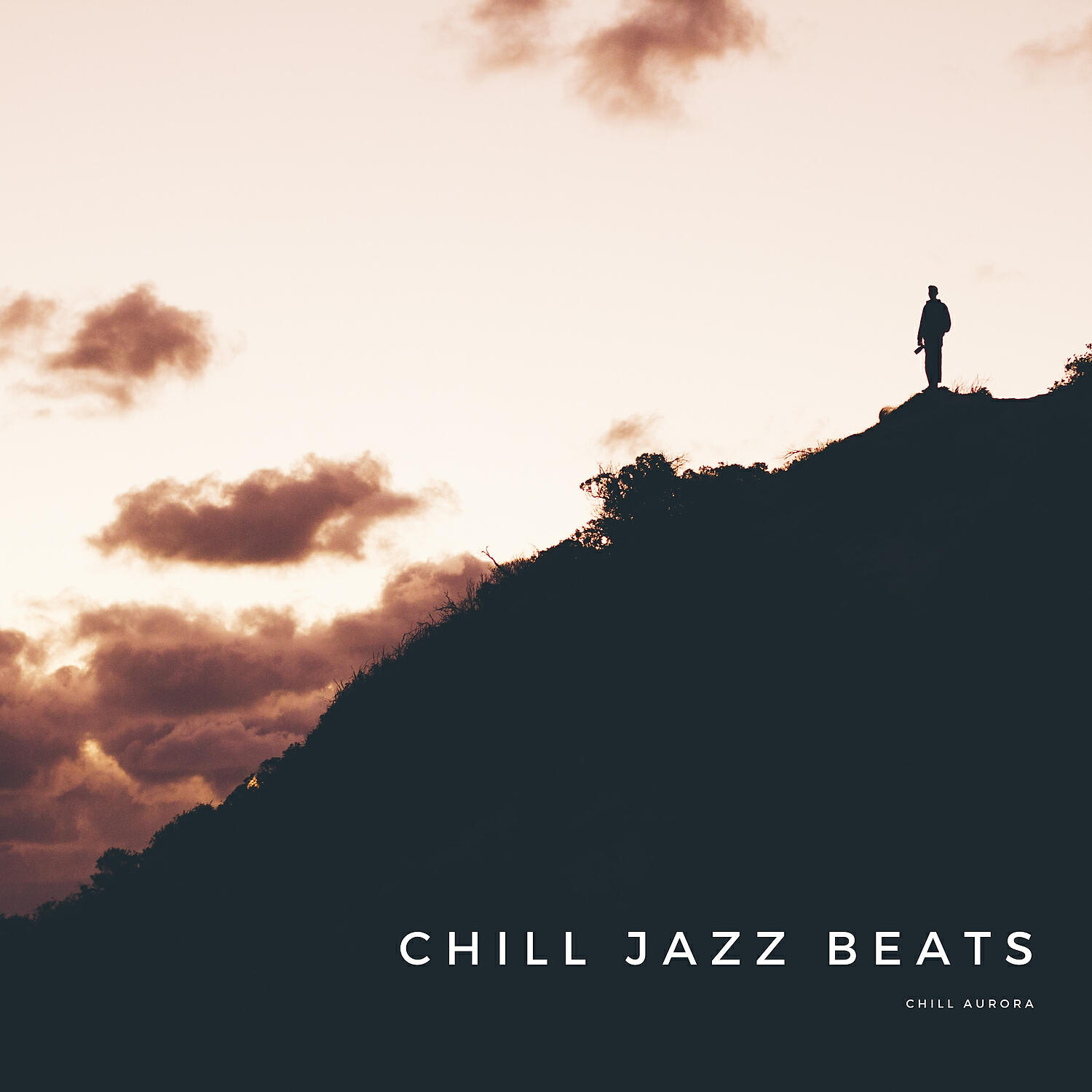 Chill Aurora - Walking to the Night