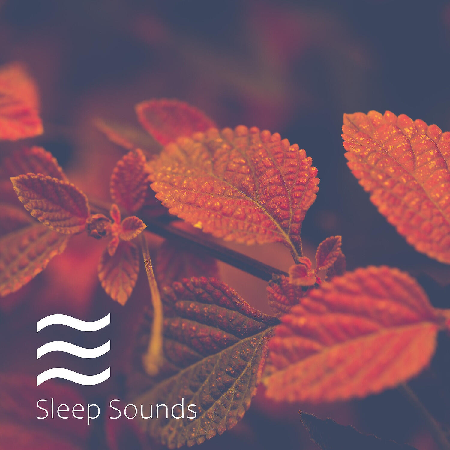 Sleepful Waves of Noises - Dreaming Deep Noisy Sleepful Tones