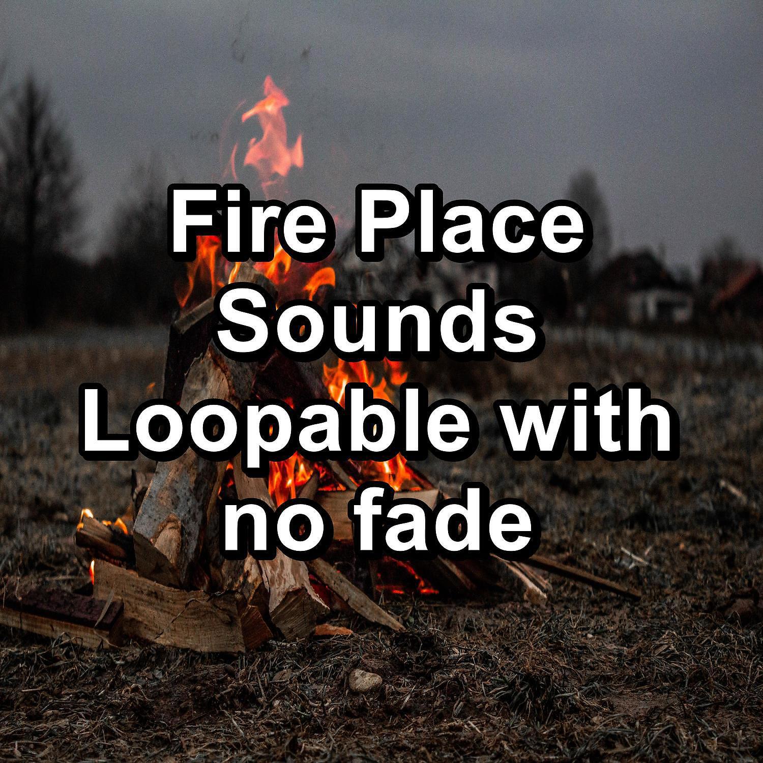 Focusity - Cozy Fire Place Sounds