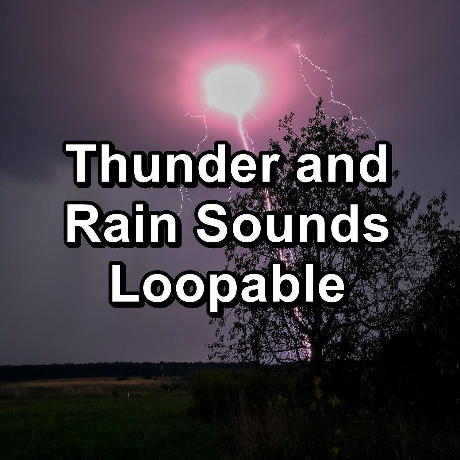 Music For Sleep - Forest Rain and Nature Sounds For Babies to Relax and Rest