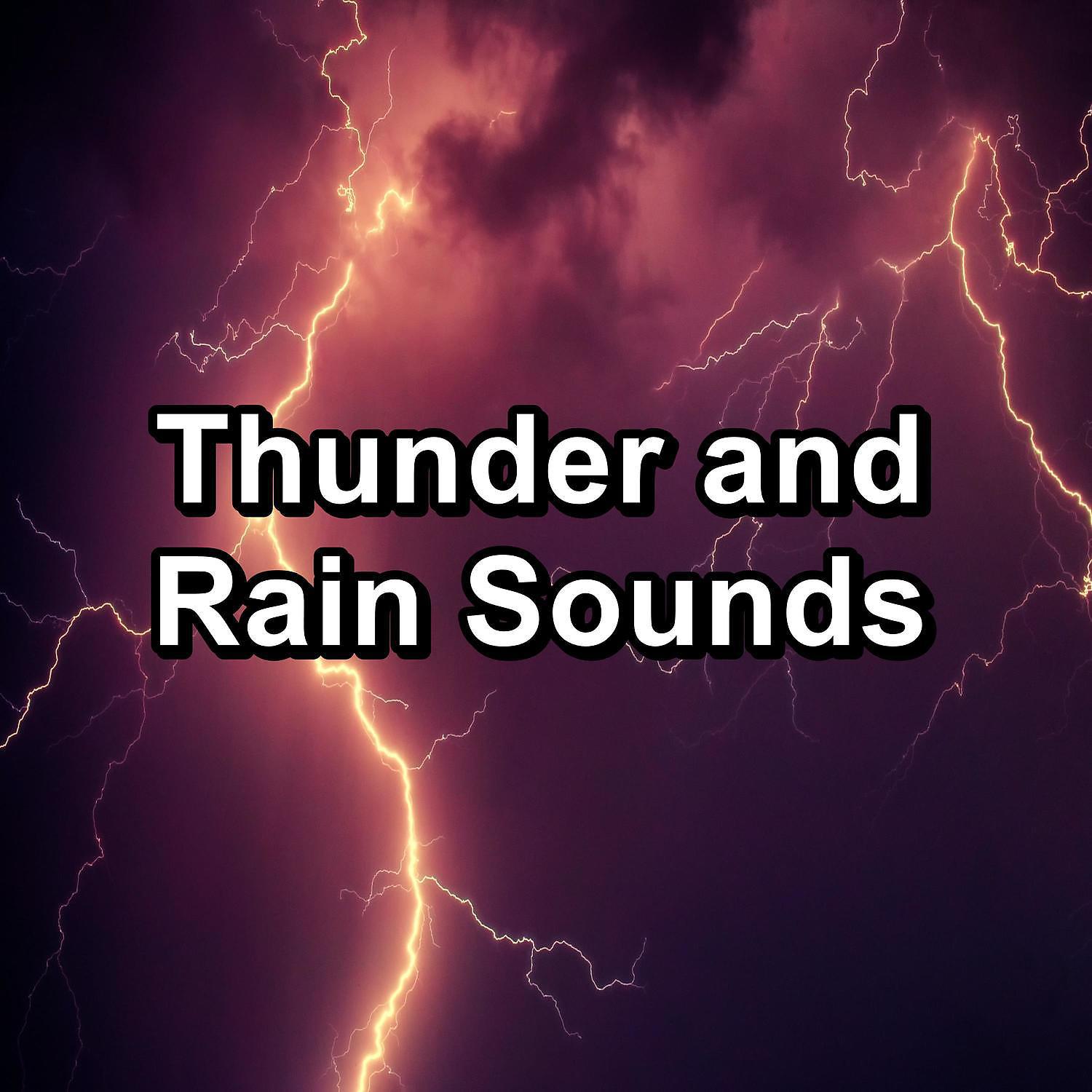 Постер альбома Thunder and Rain Sounds