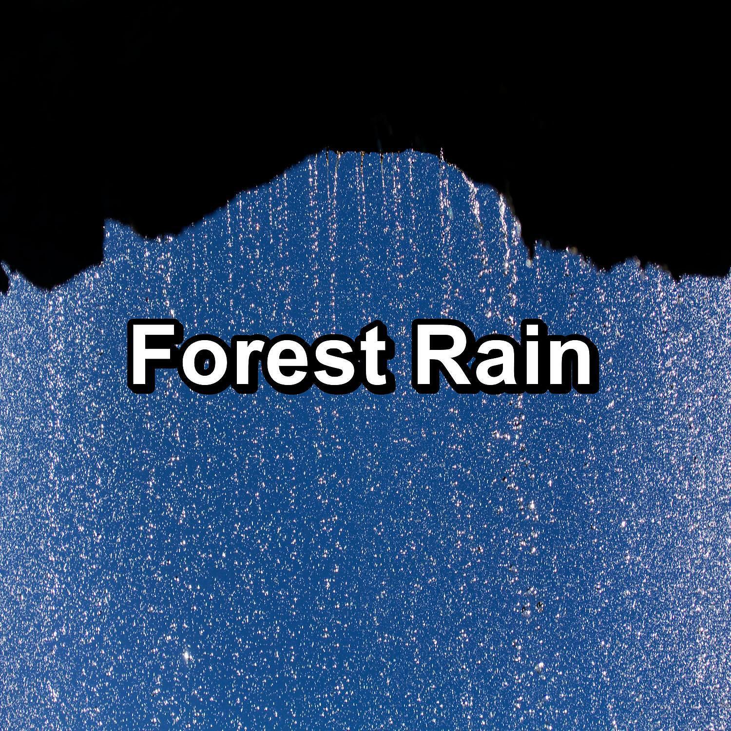 Life Sounds Nature - Heavy Rain with Thunder and White Noise To Help You Sleep