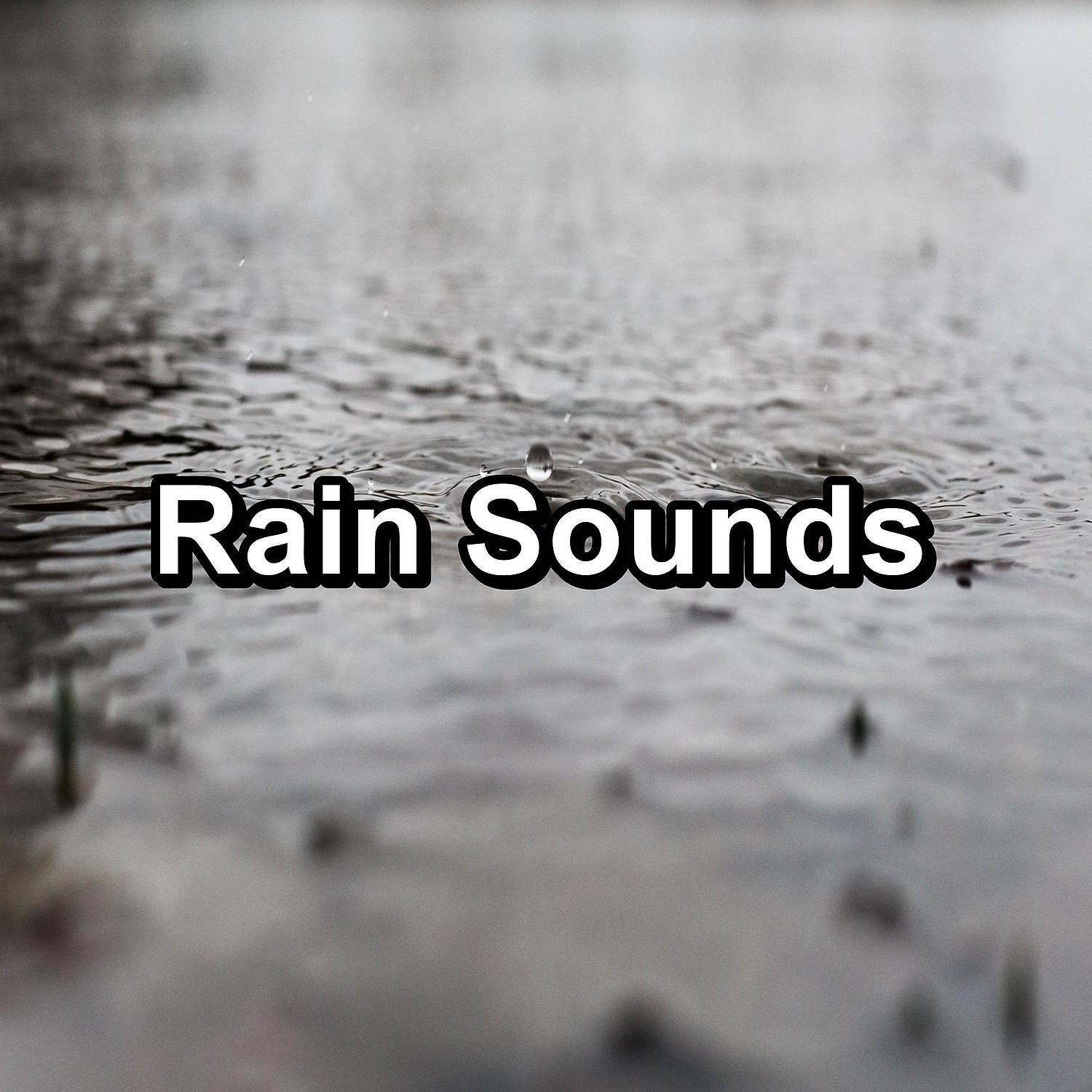 ASMR - Heavy Rain with Alpha Waves To Help You Take A Nap
