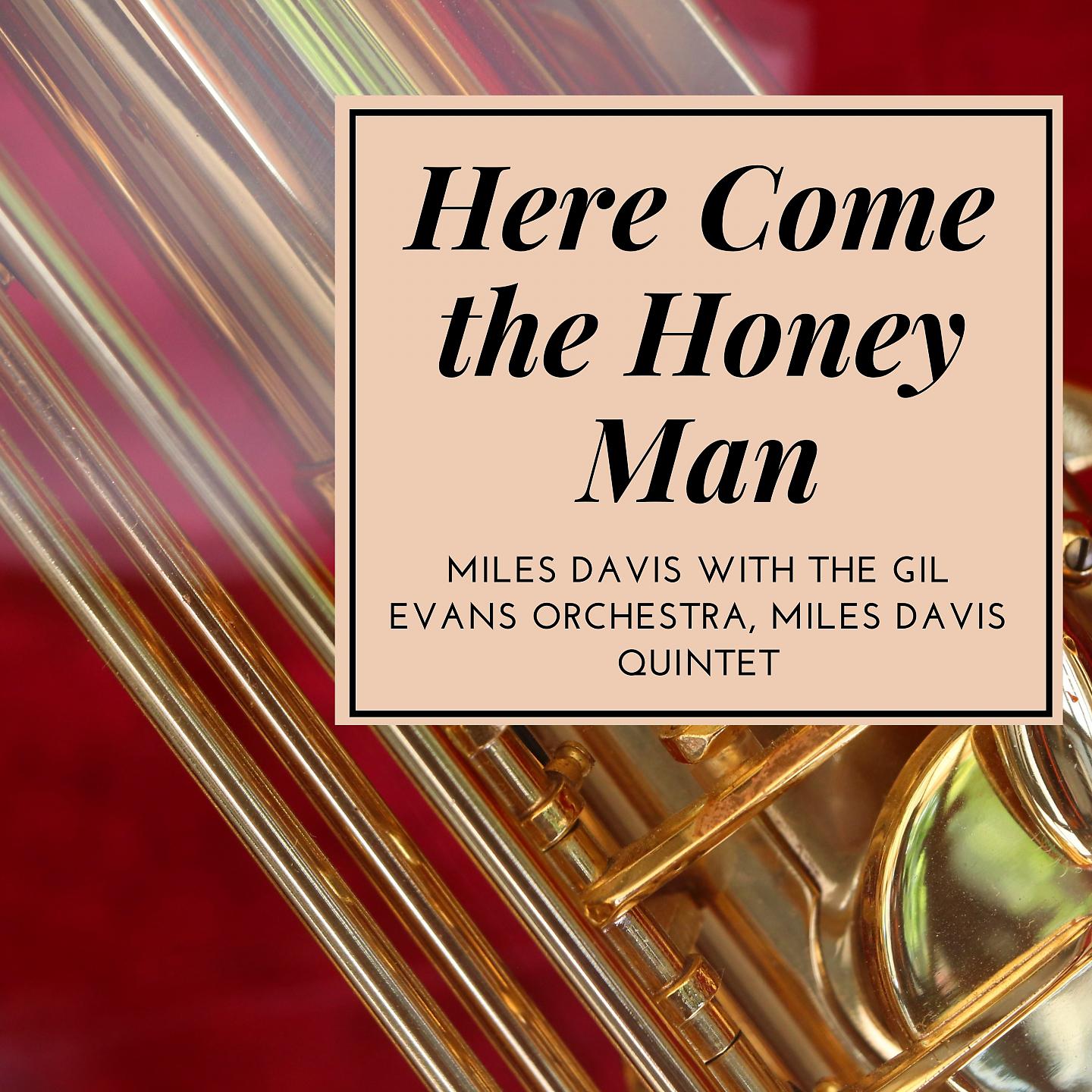 Постер альбома Here Come the Honey Man