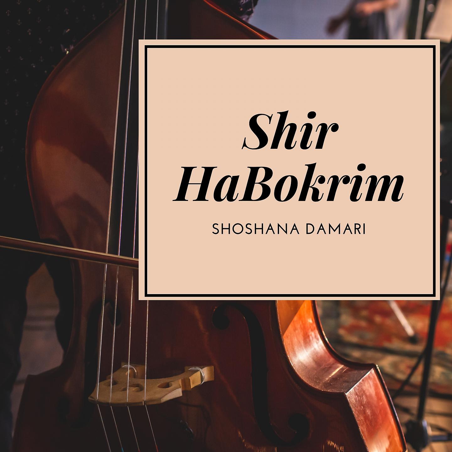 Постер альбома Shir HaBokrim