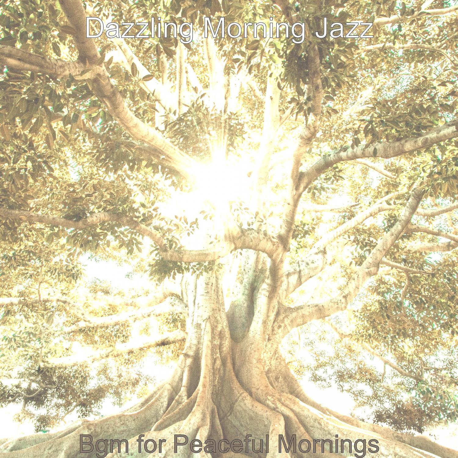 Постер альбома Bgm for Peaceful Mornings