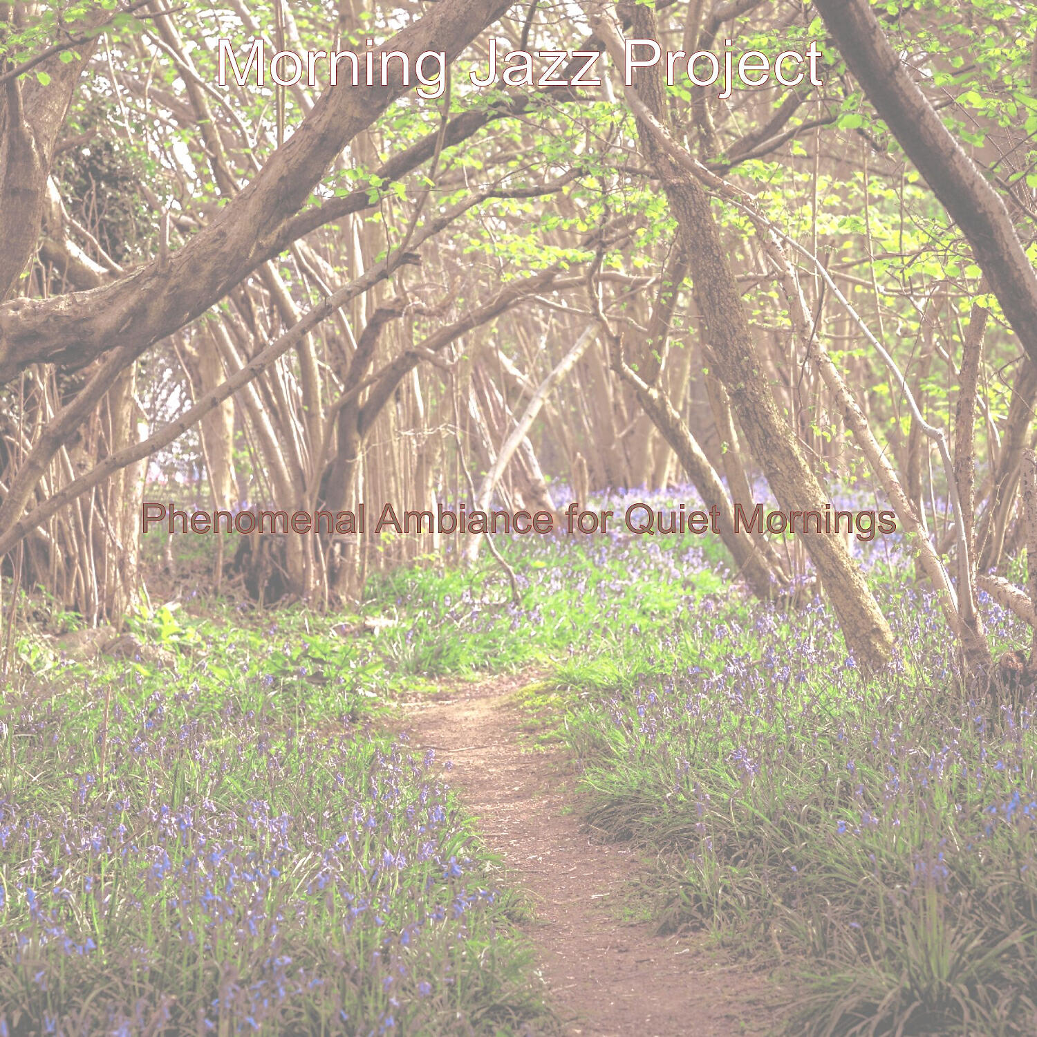 Morning Jazz Project - Groovy Music for Quiet Mornings