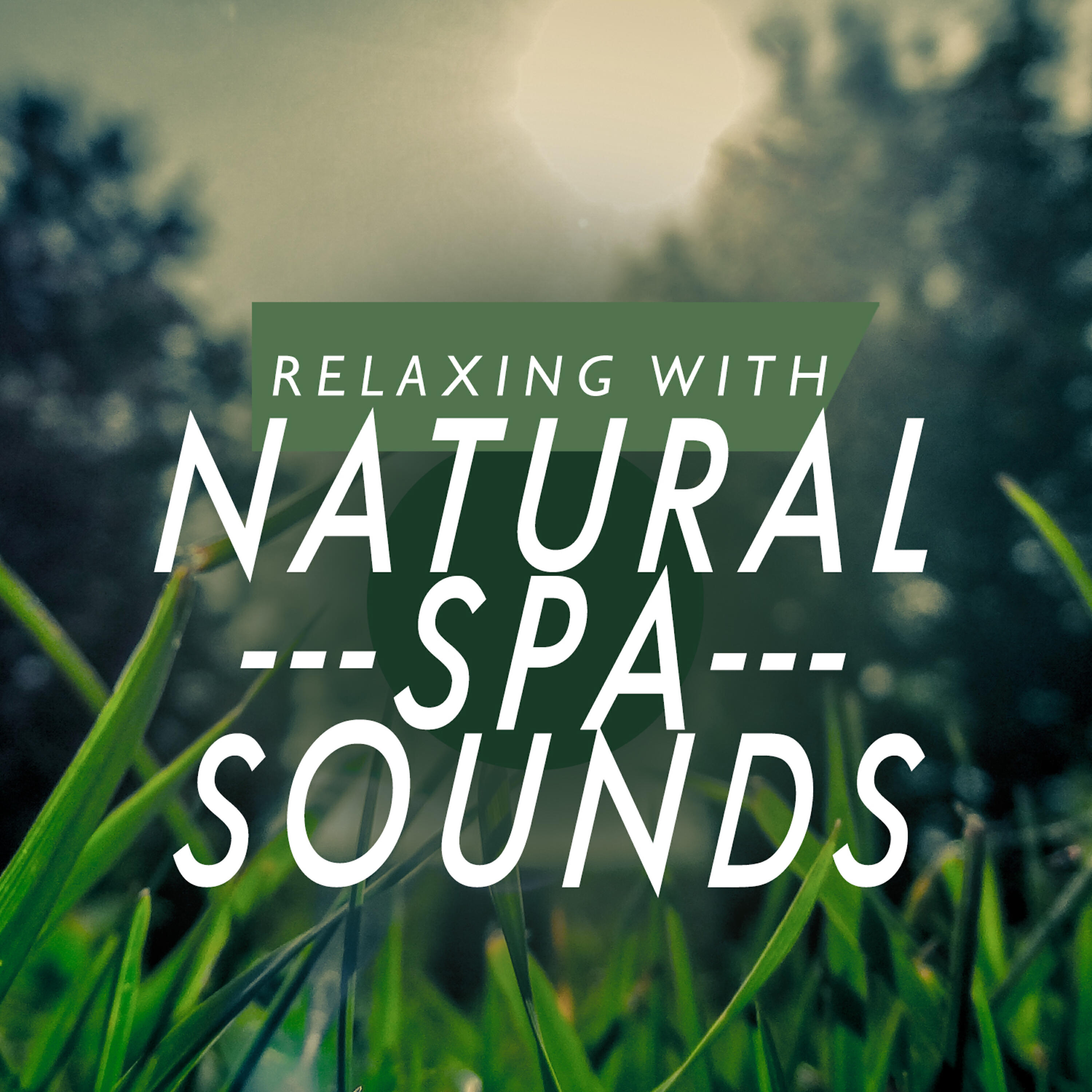 Relaxing - Rill Through the Trees