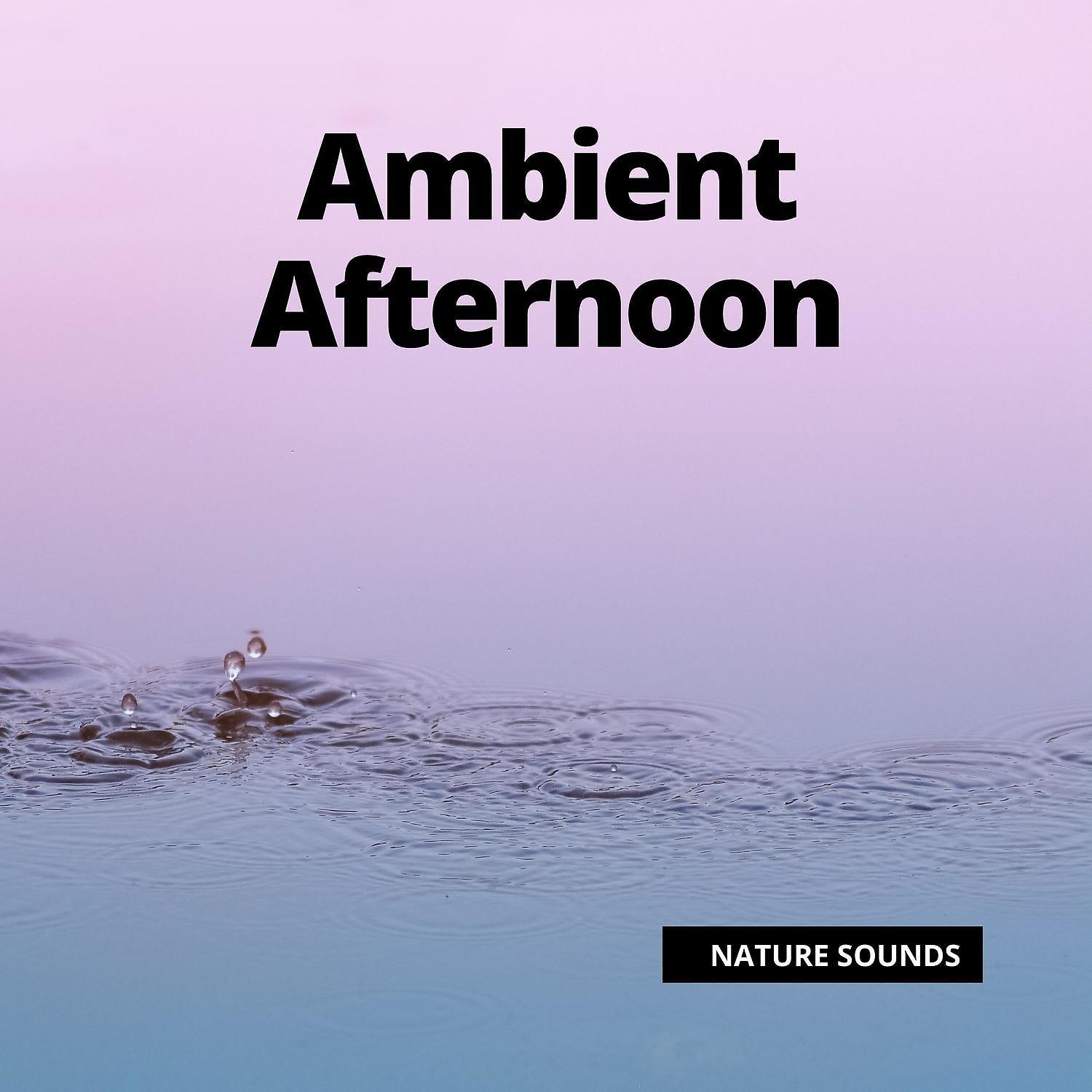 Постер альбома Ambient Afternoon
