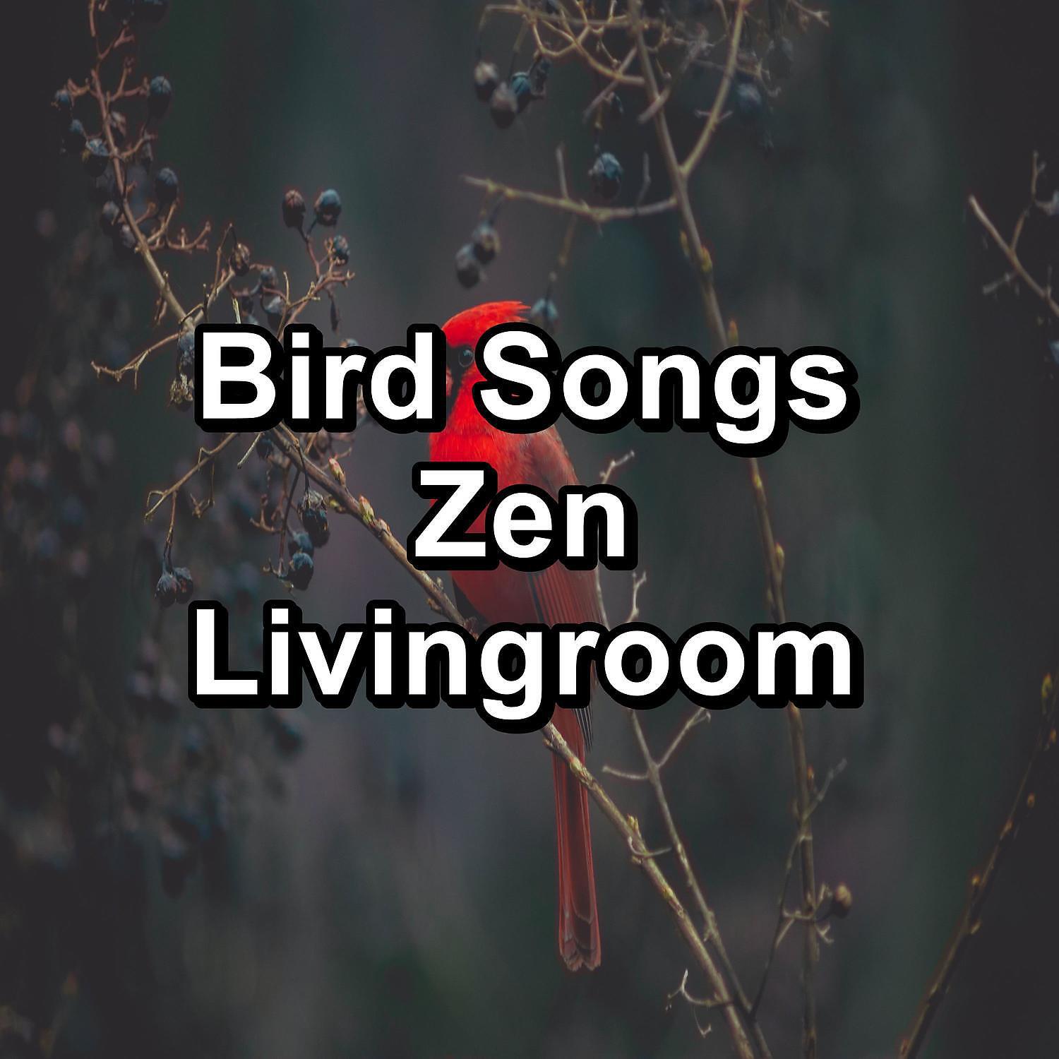 YOGA - Birds Sounds Ambience Sounds To Loop for 24 Hours