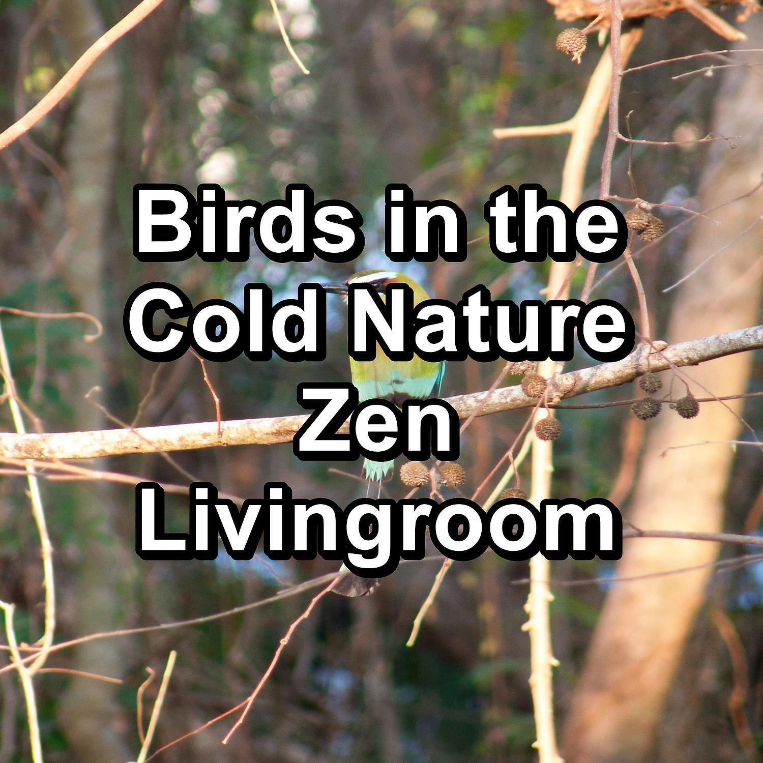 Baby Sleep - ASMR Bird Sounds Instant Deep Sleep Relaxing and Calming