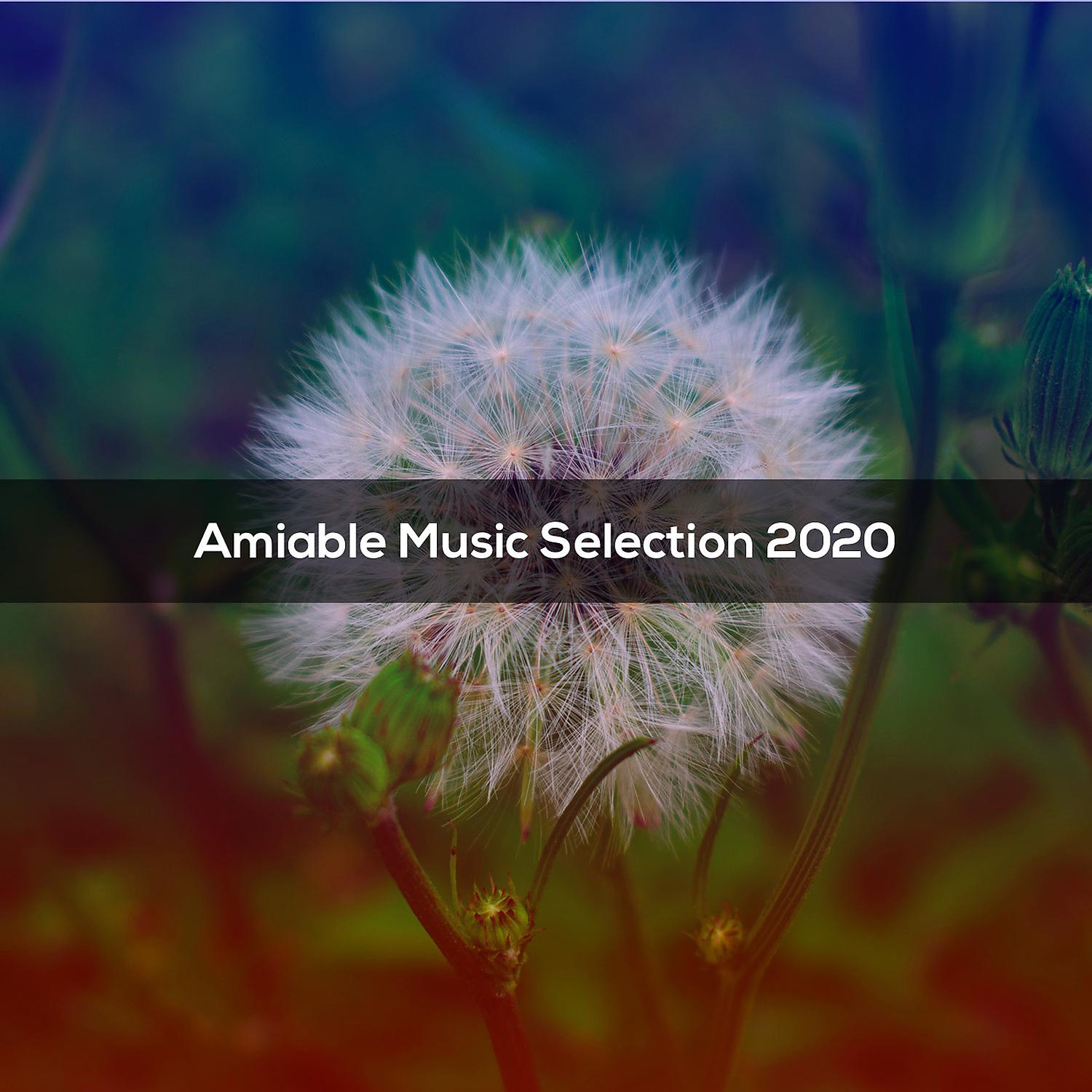 Постер альбома AMIABLE MUSIC SELECTION 2020