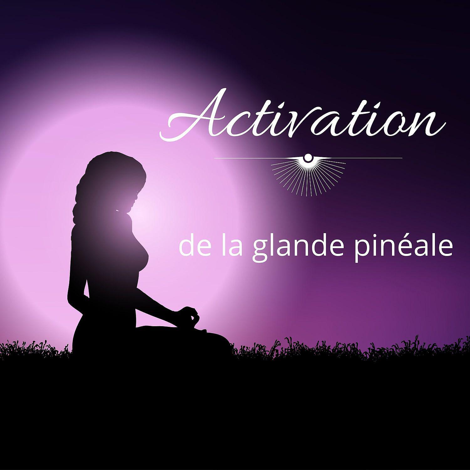 Постер альбома Activation de la glande pinéale: Le rêve lucide, Guérison des chakras, Activation du troisième œil