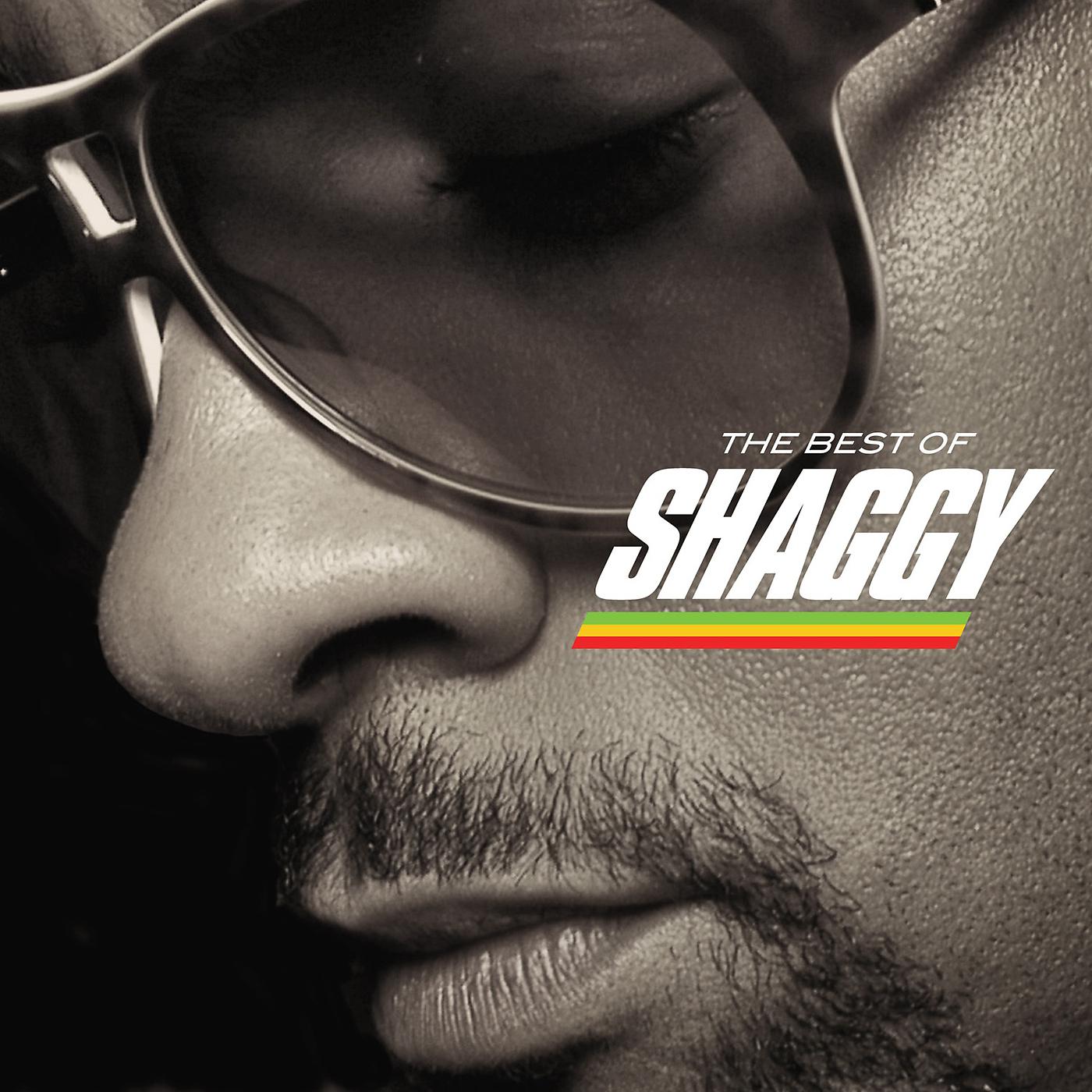 Постер альбома The Best Of Shaggy