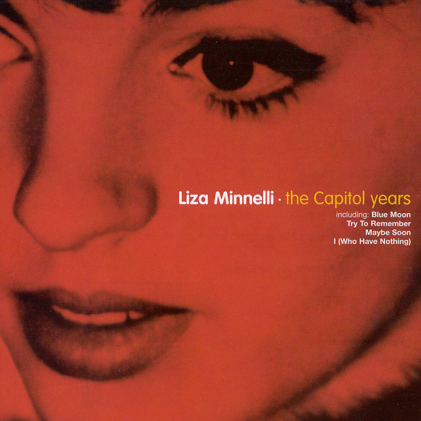 Liza Minnelli - It Amazes Me