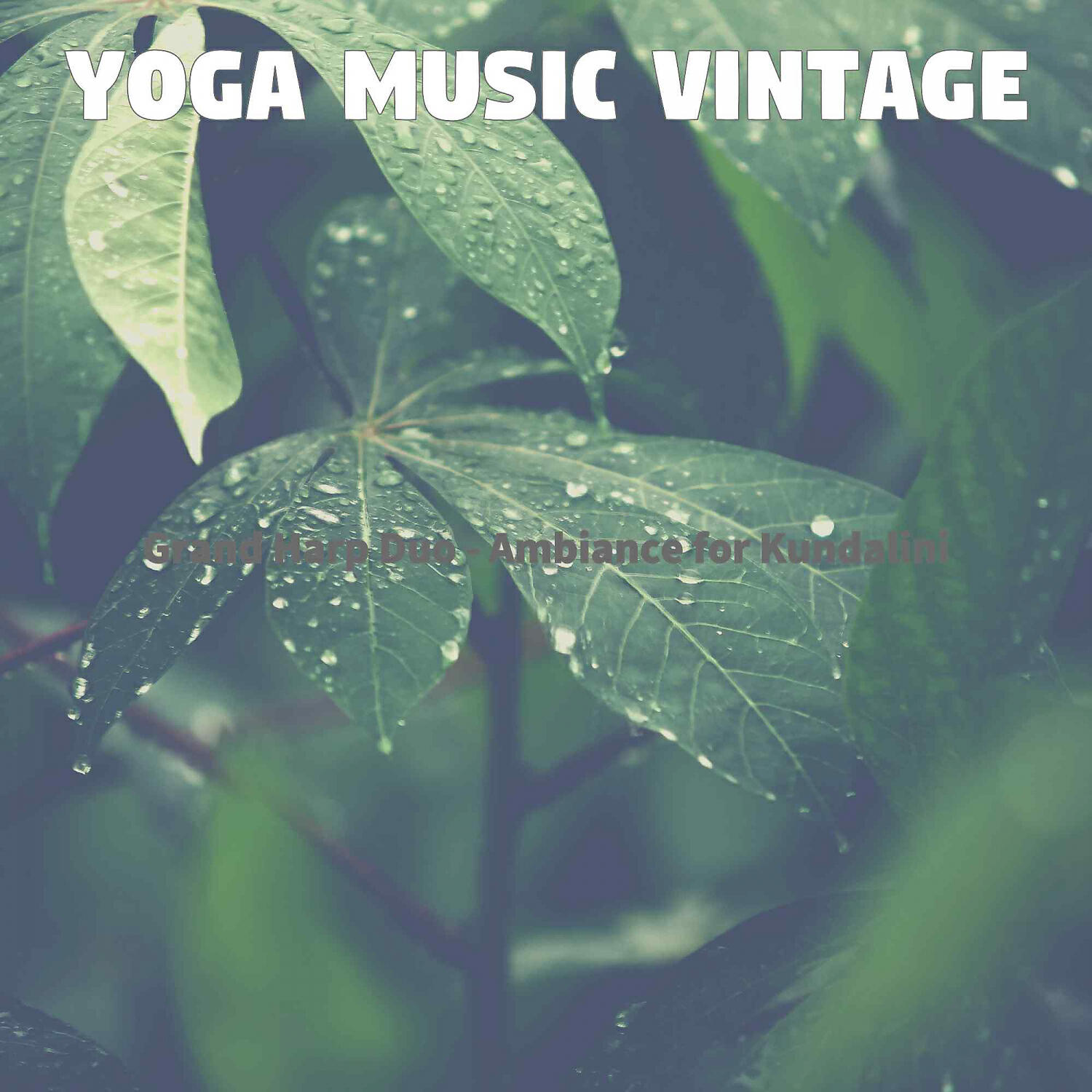 Yoga Music Vintage - High Class Guitar and Harps - Vibe for Yoga Meditation