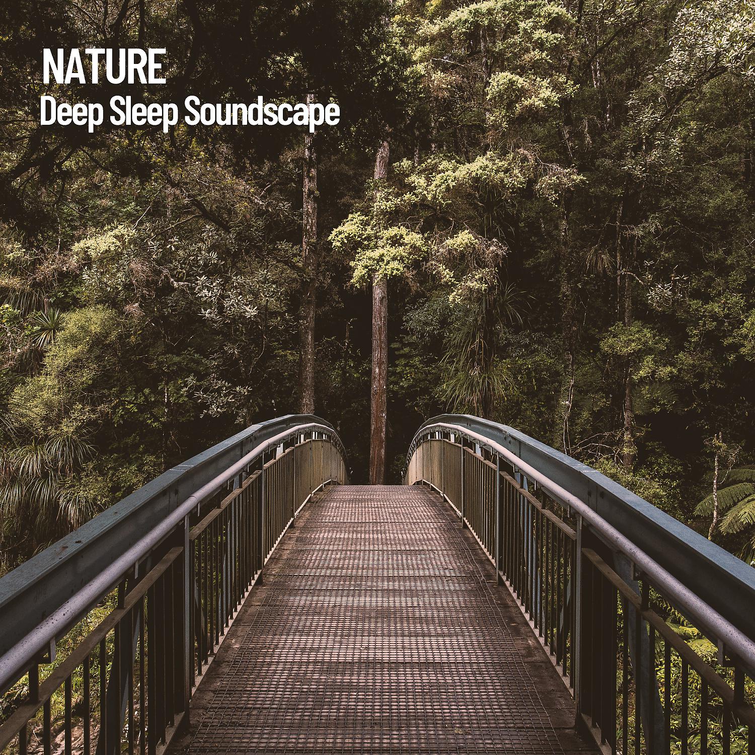 Постер альбома Nature: Deep Sleep Soundscape
