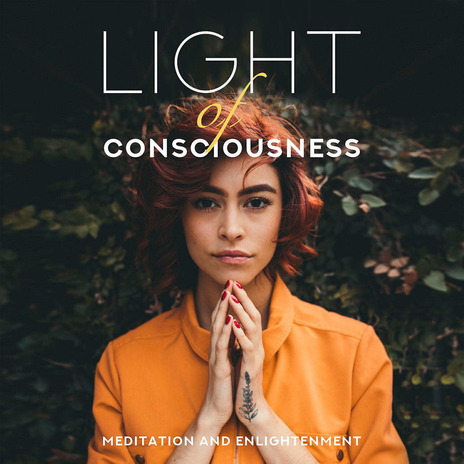 Inspiring Meditation Sounds Academy - Devotion to Sadhana