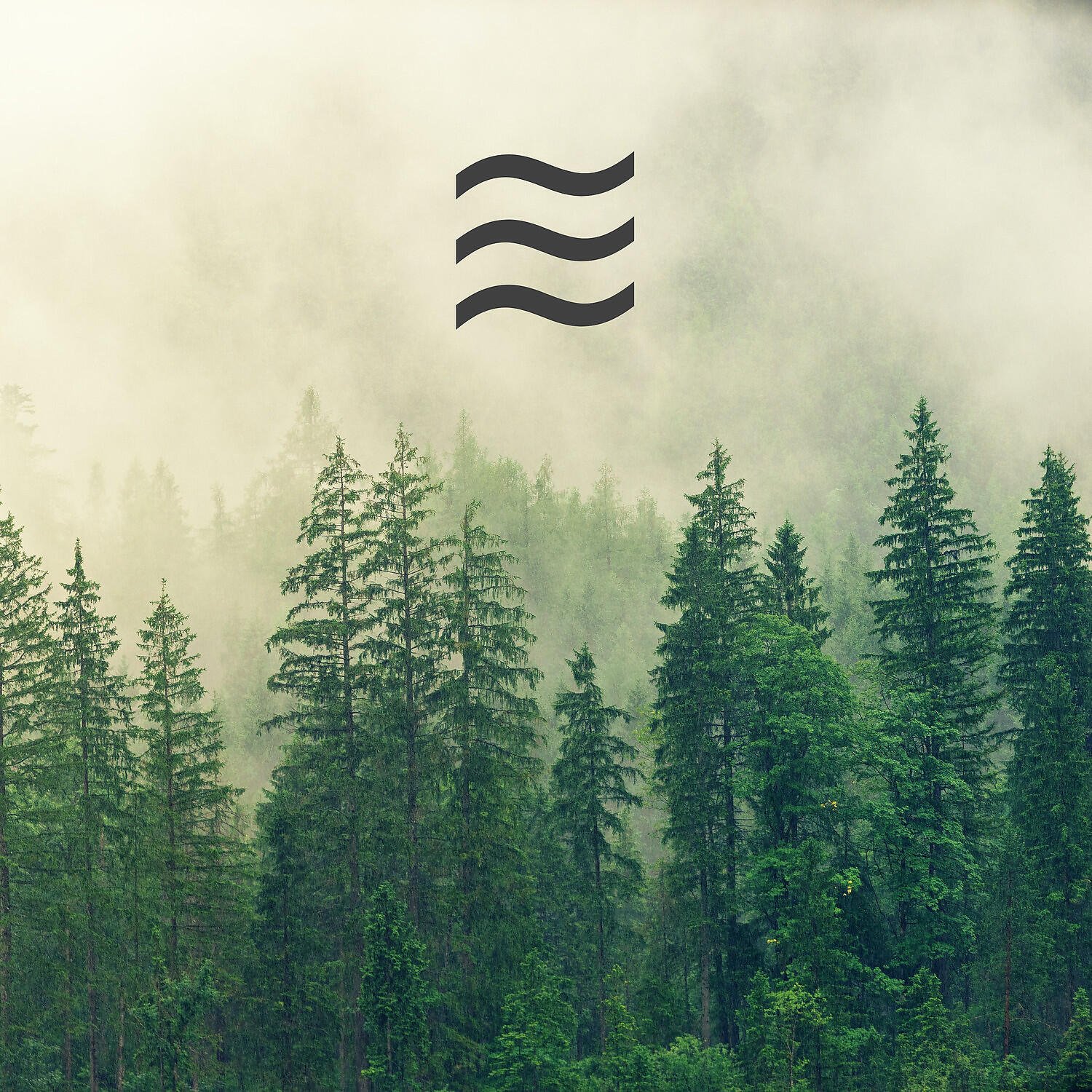 Natural Raining - Ambient of Rainfall for Sleep