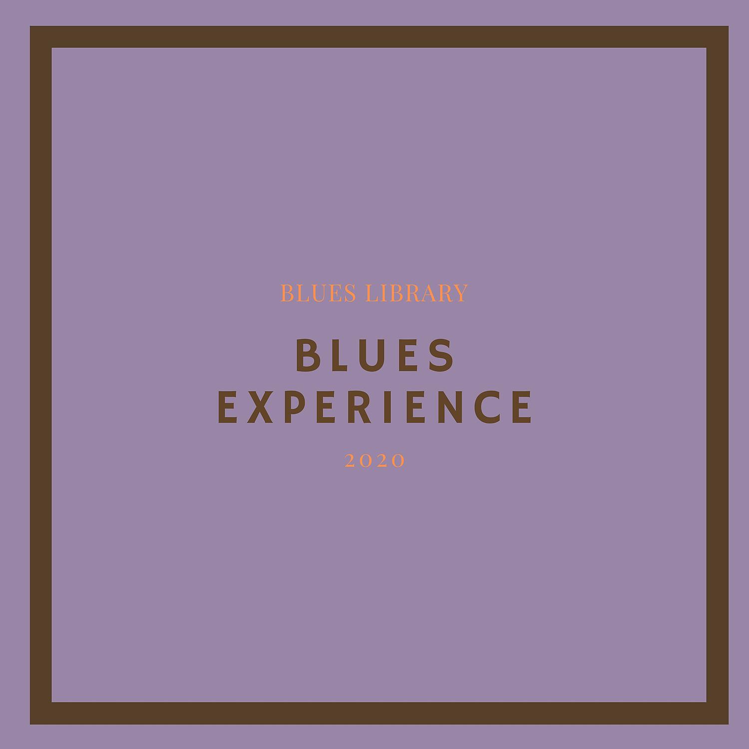 Постер альбома Blues Experience