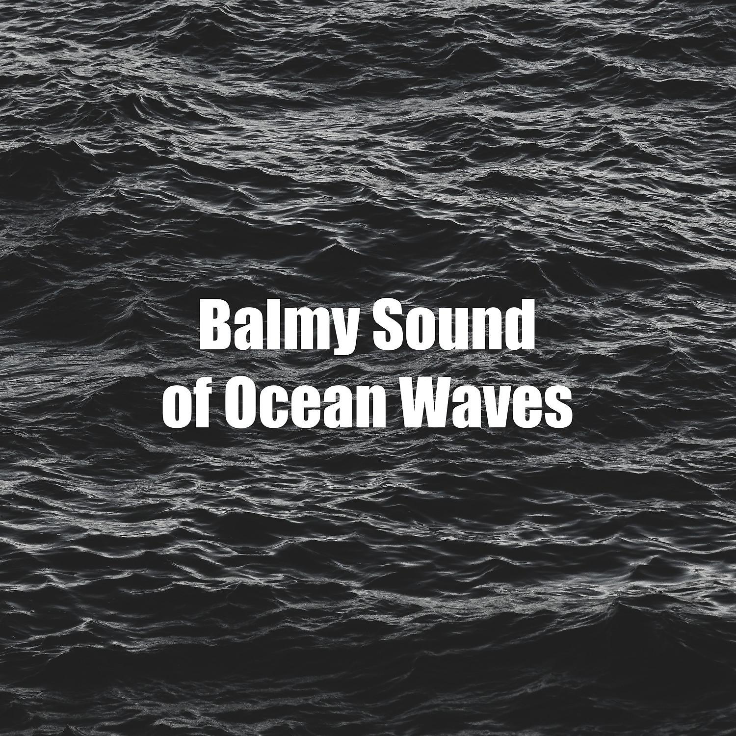 Постер альбома Balmy Sound of Ocean Waves