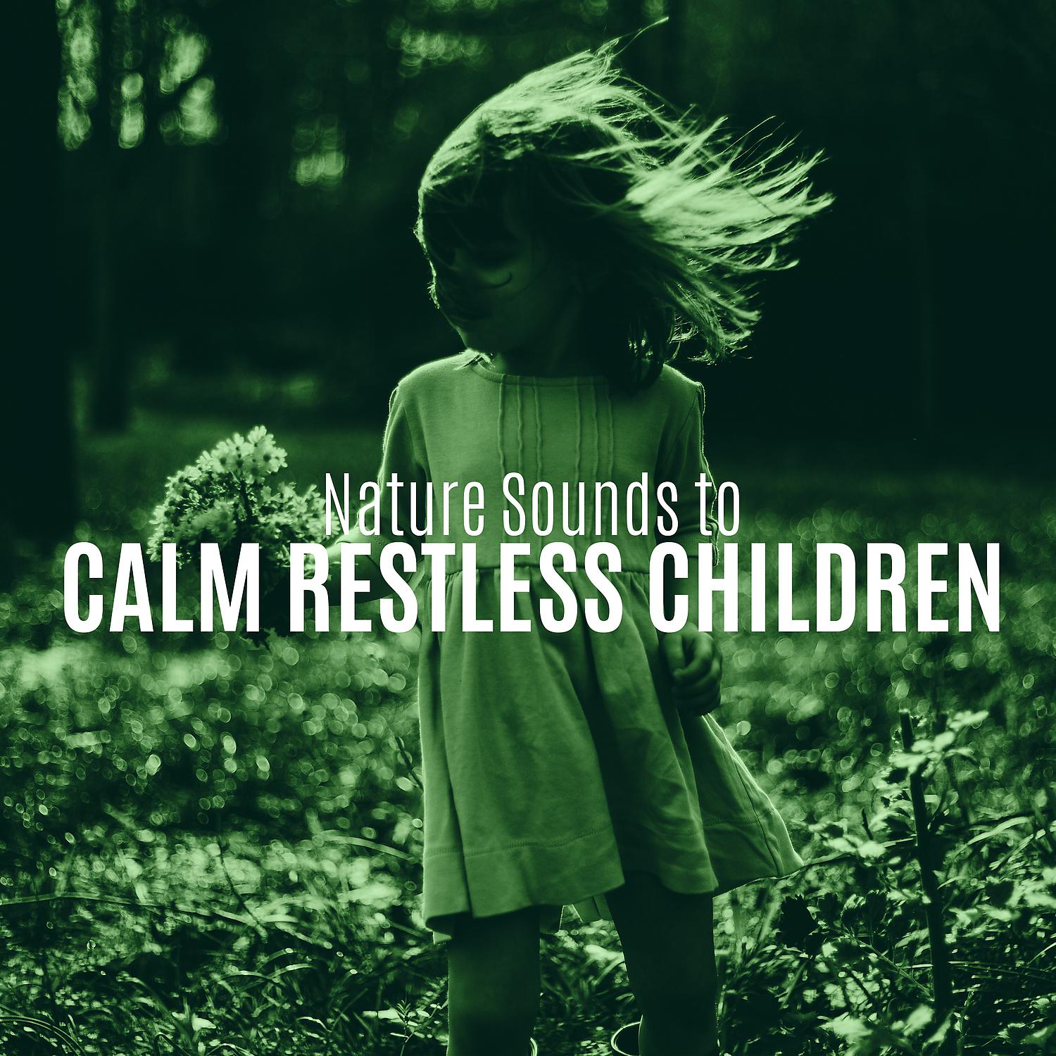 Постер альбома Nature Sounds to Calm Restless Children (Soft Sounds, Delicate Music, Inner Calmness, Meditation, Good Sleep with Instrumental Music)