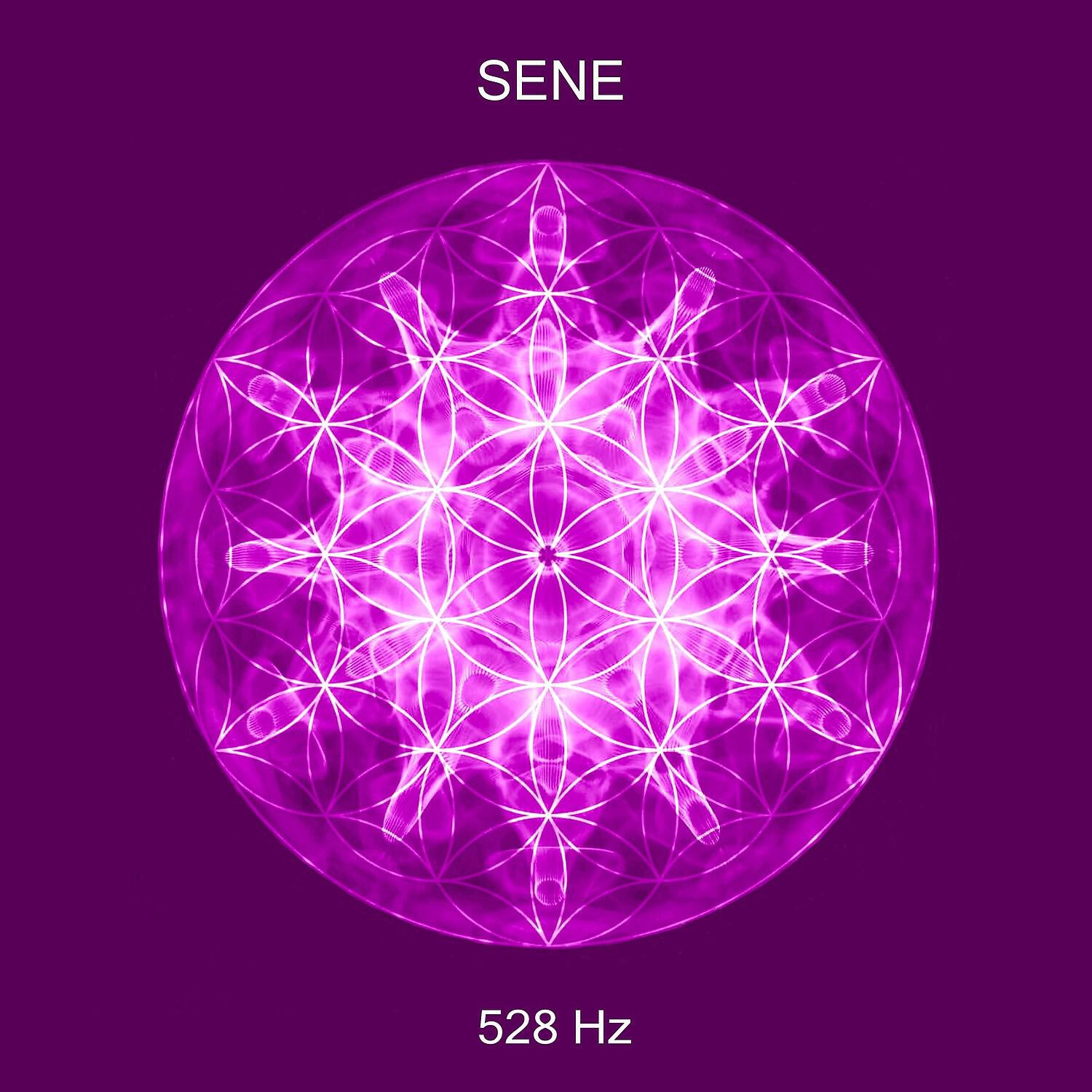 SENE - High Frequency
