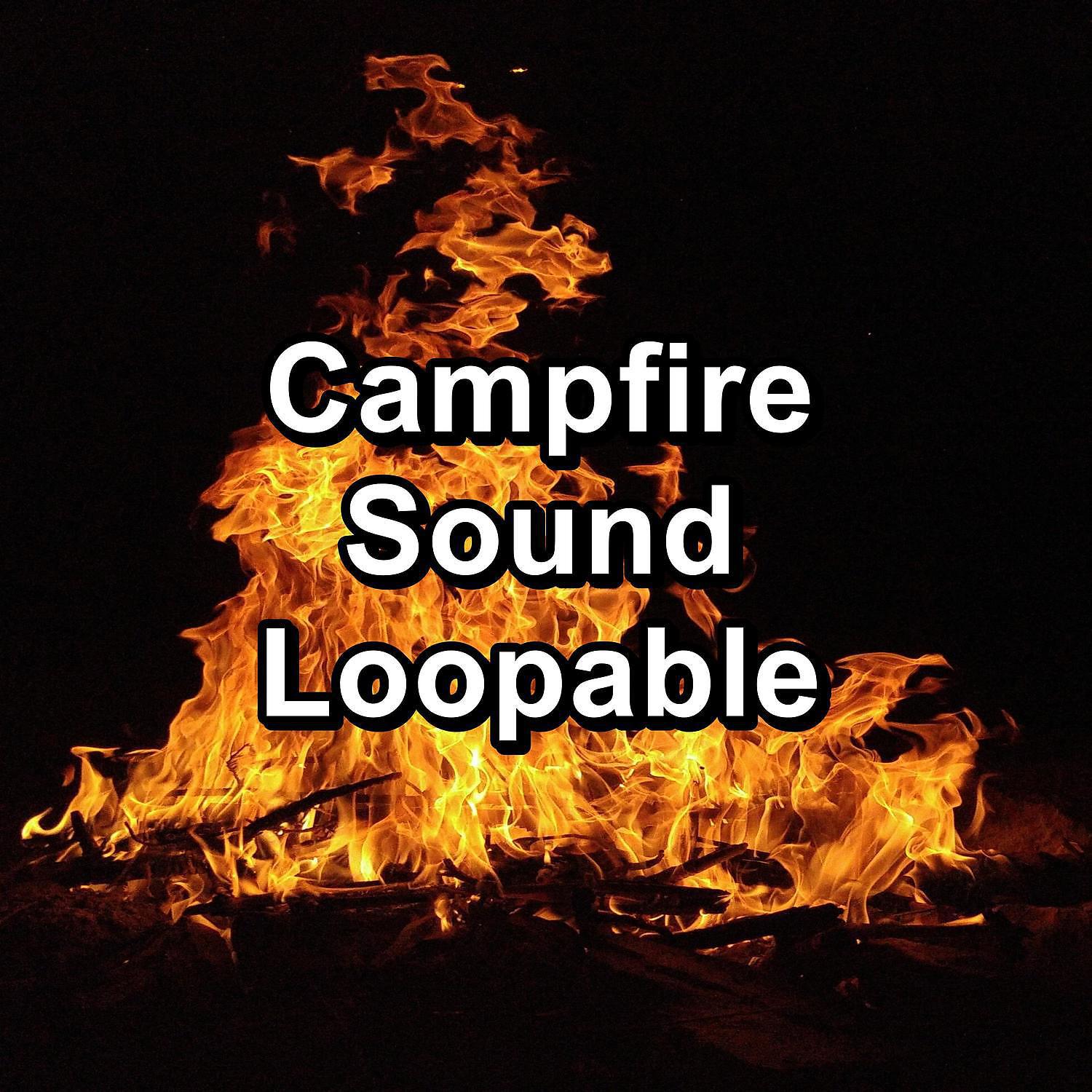 Campfire Sounds - Cozy Campfire in the Forest Instant Rest for Babies