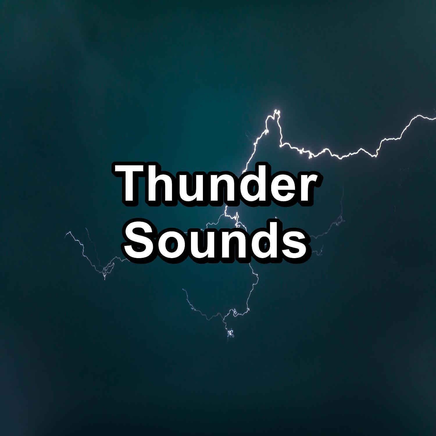 Thunderstorm Sleep - Rain Sounds For Relaxing Times Pure Sounds to Help Insomnia