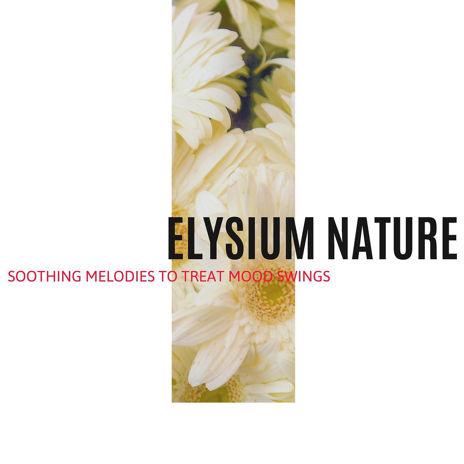 Spa Zen - Nature Benefit