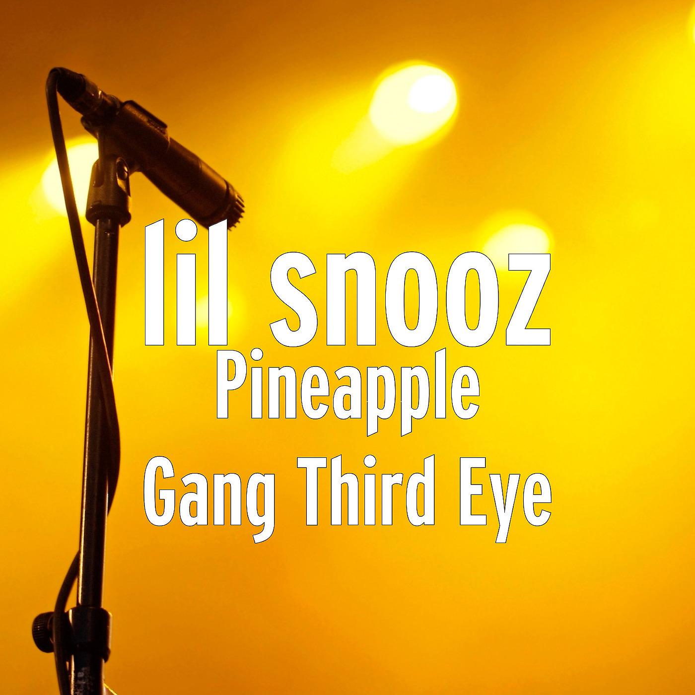 Постер альбома Pineapple Gang Third Eye