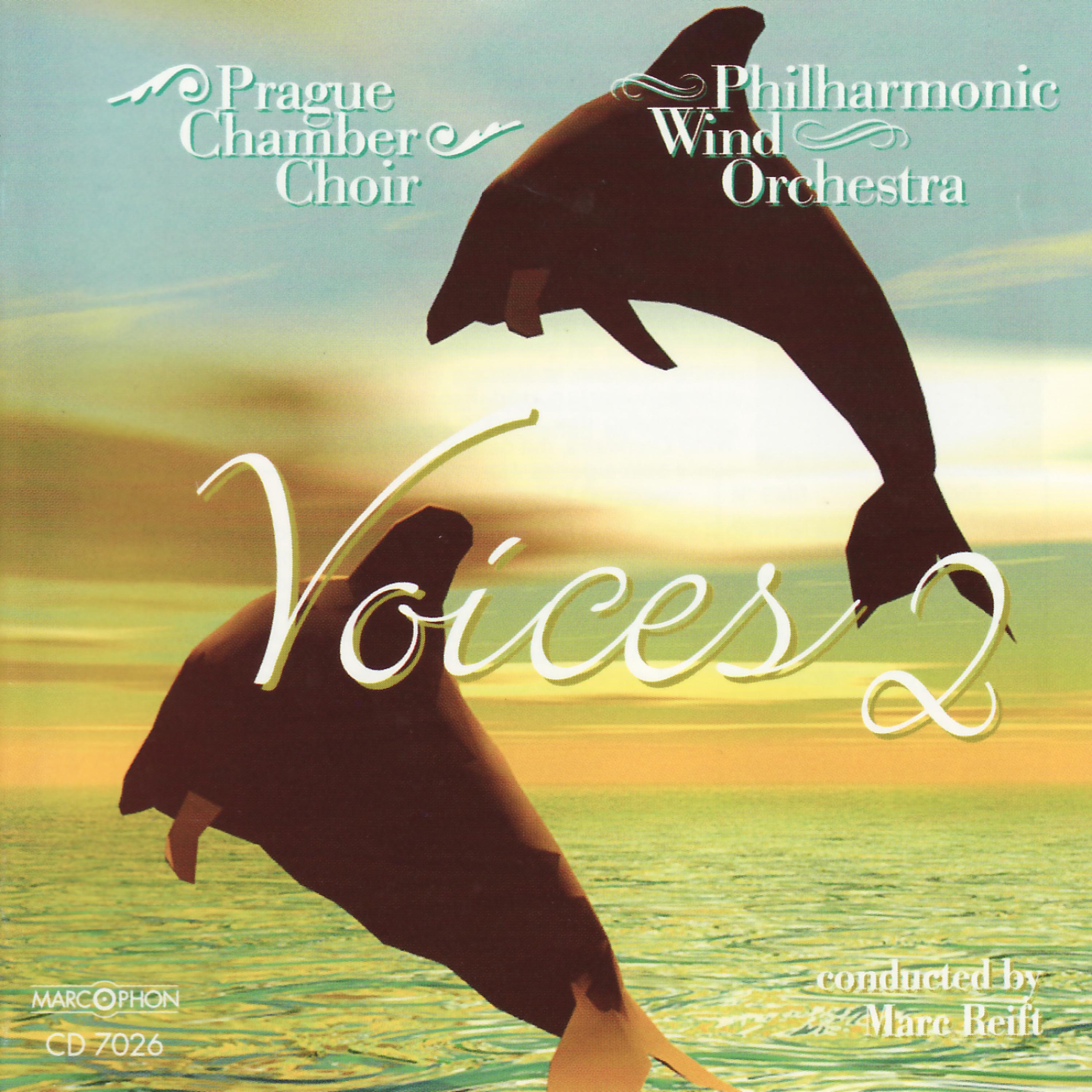 Постер альбома Voices 2