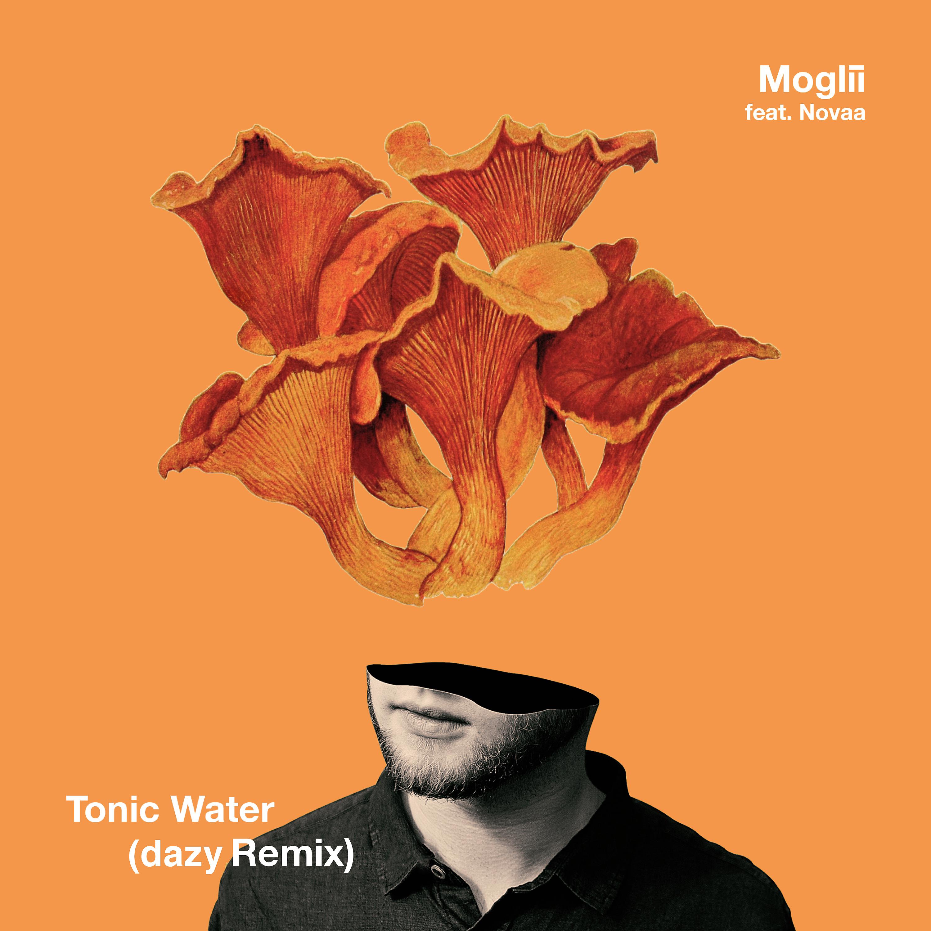Постер альбома Tonic Water (dazy Remix)