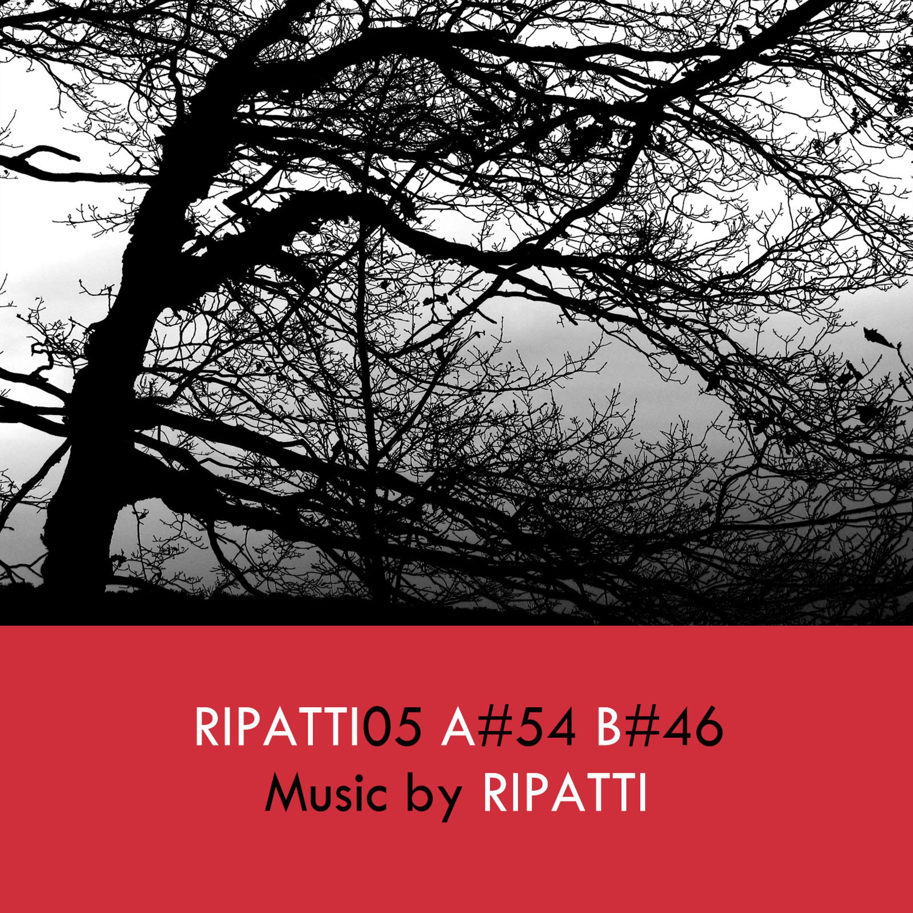 Постер альбома Ripatti05