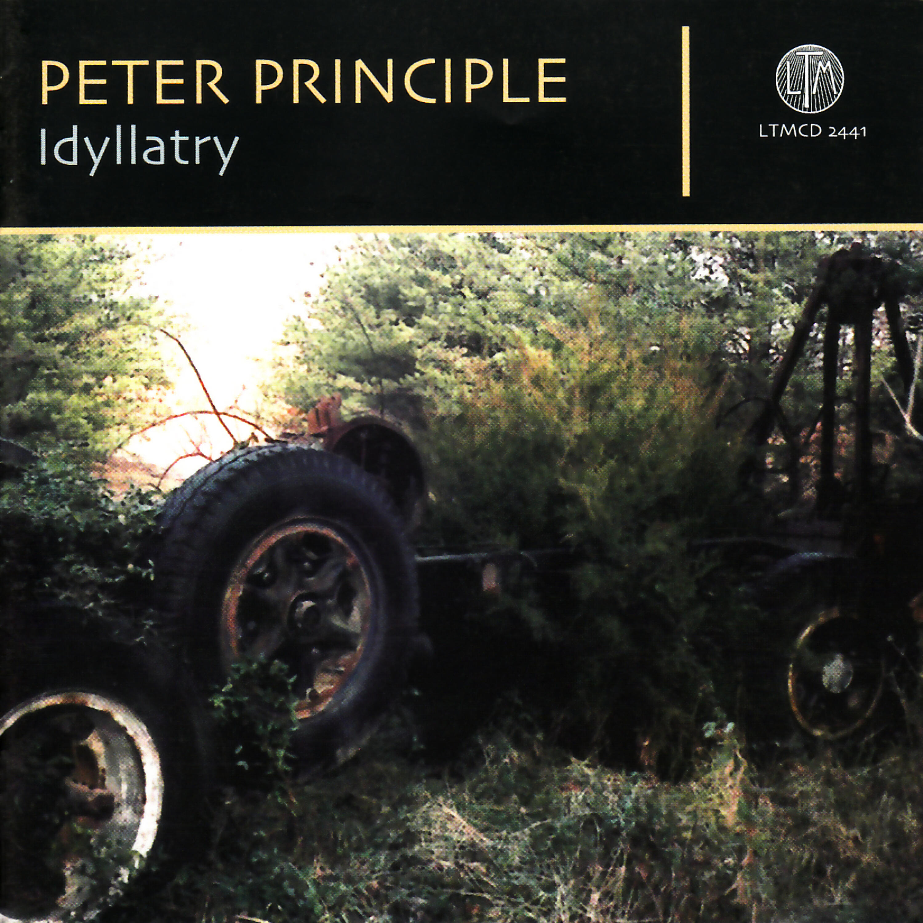 Peter Principle - The Unknown