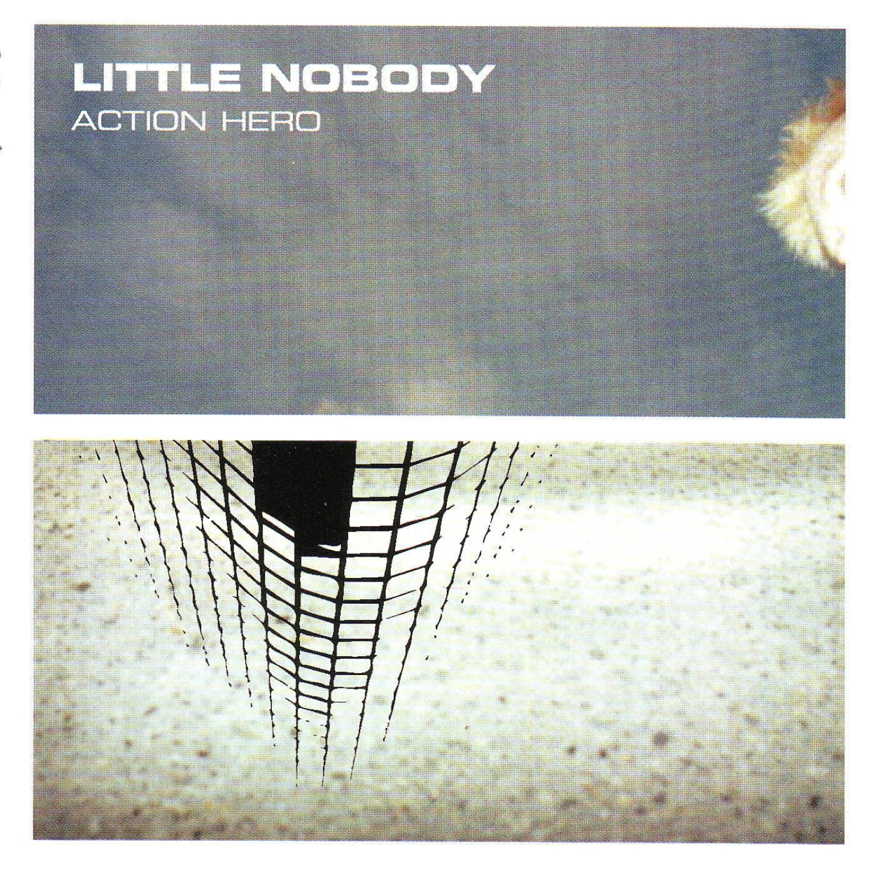 Little Nobody - Devolution Maybe?
