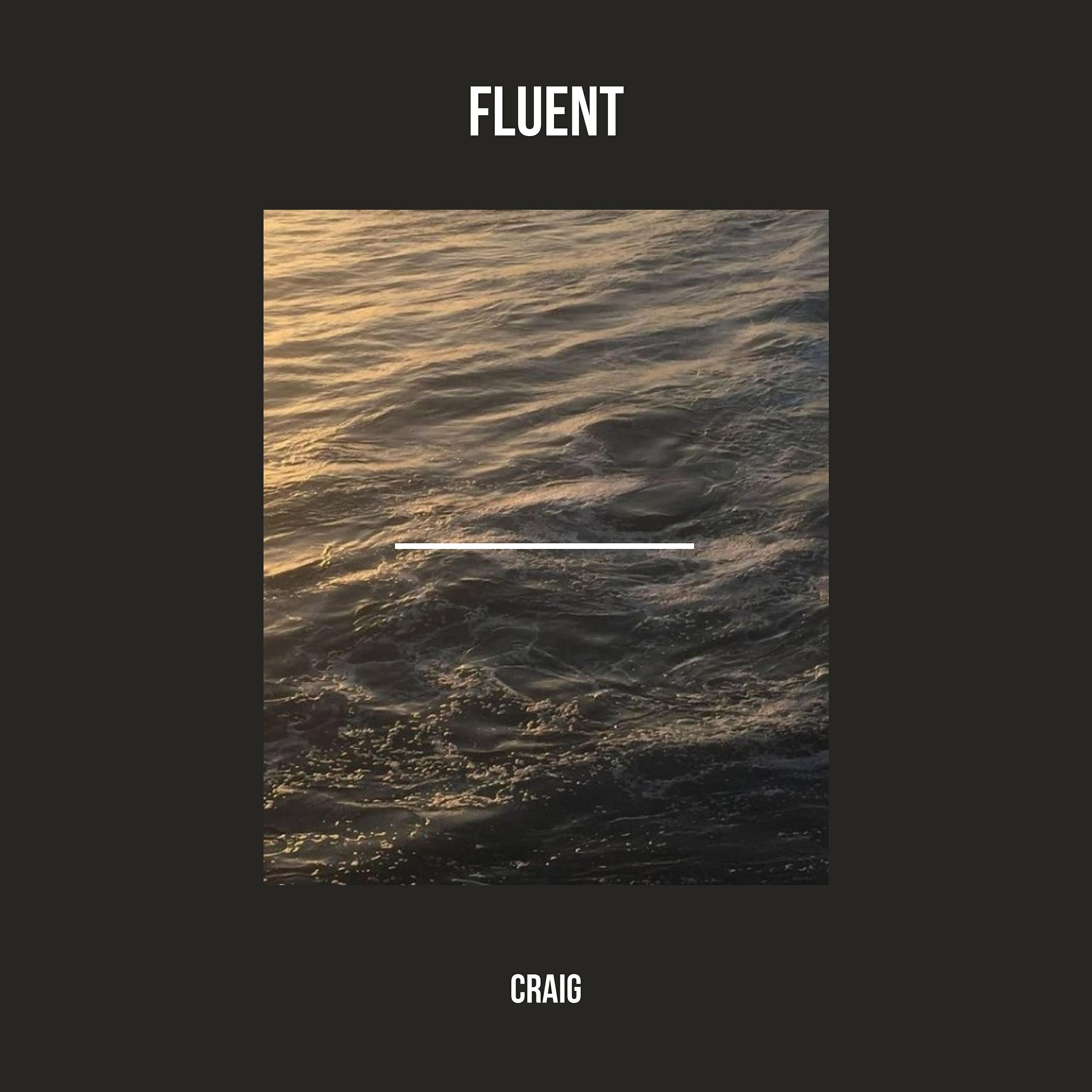 Craig - Fluent