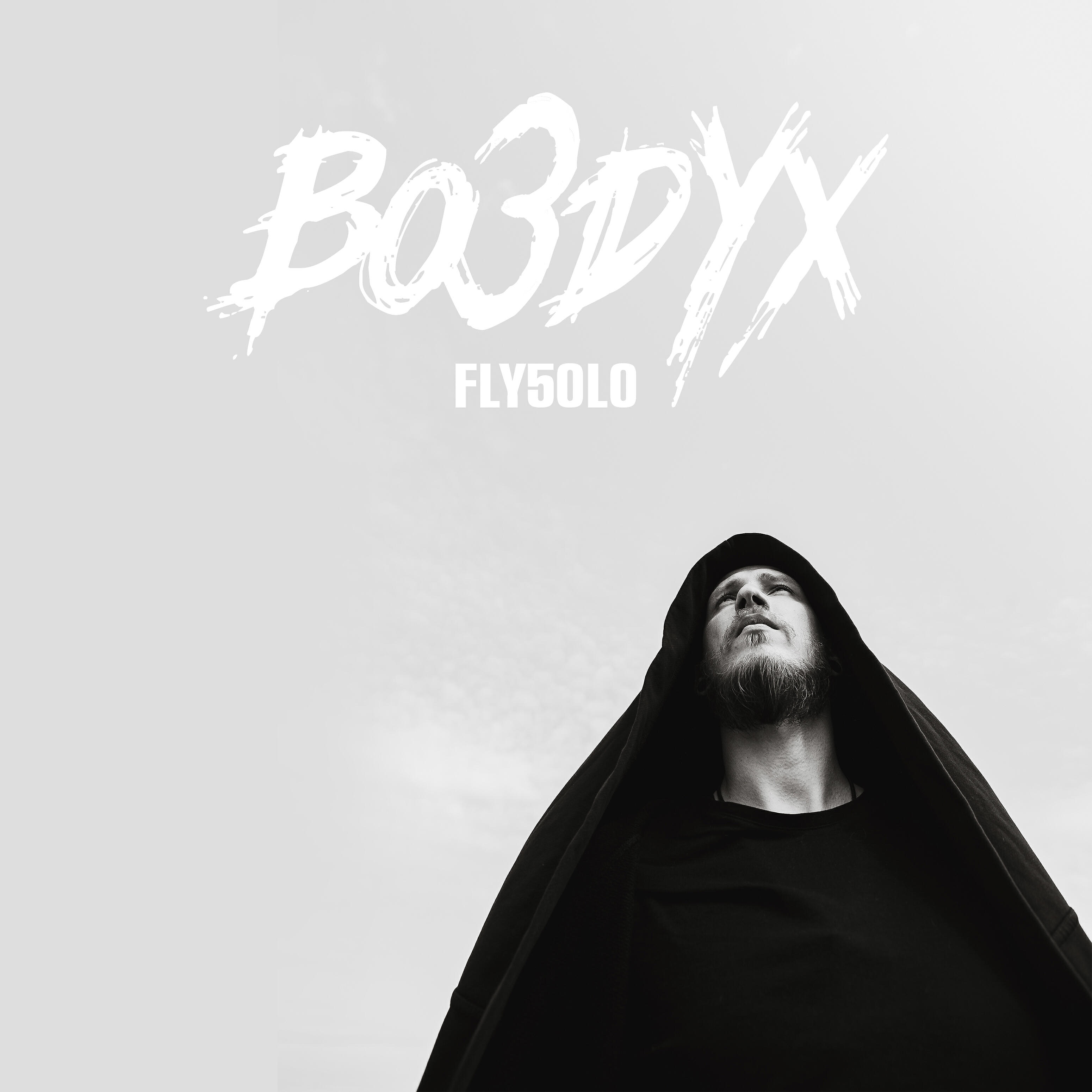FLY5OLO - Синтетика