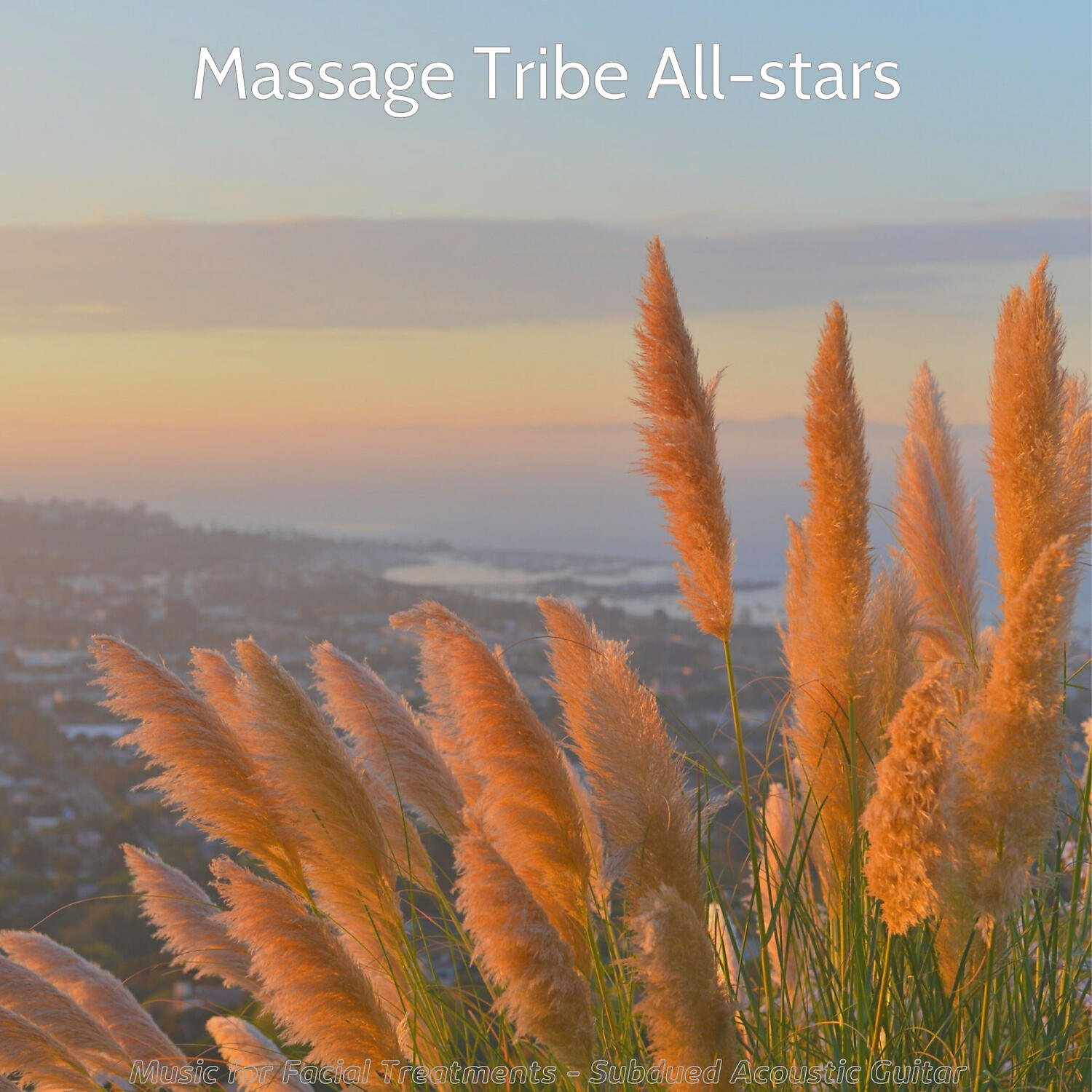 Massage Tribe All-stars - Subdued Music for Holistic Spa Treatments