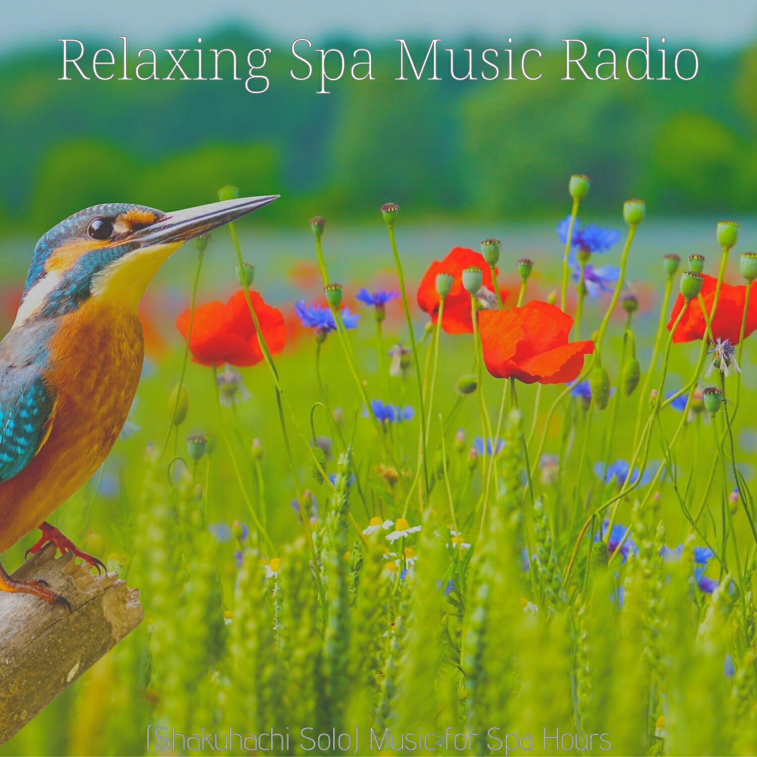 Relaxing Spa Music Radio - Magnificent Music for Deep Relaxation