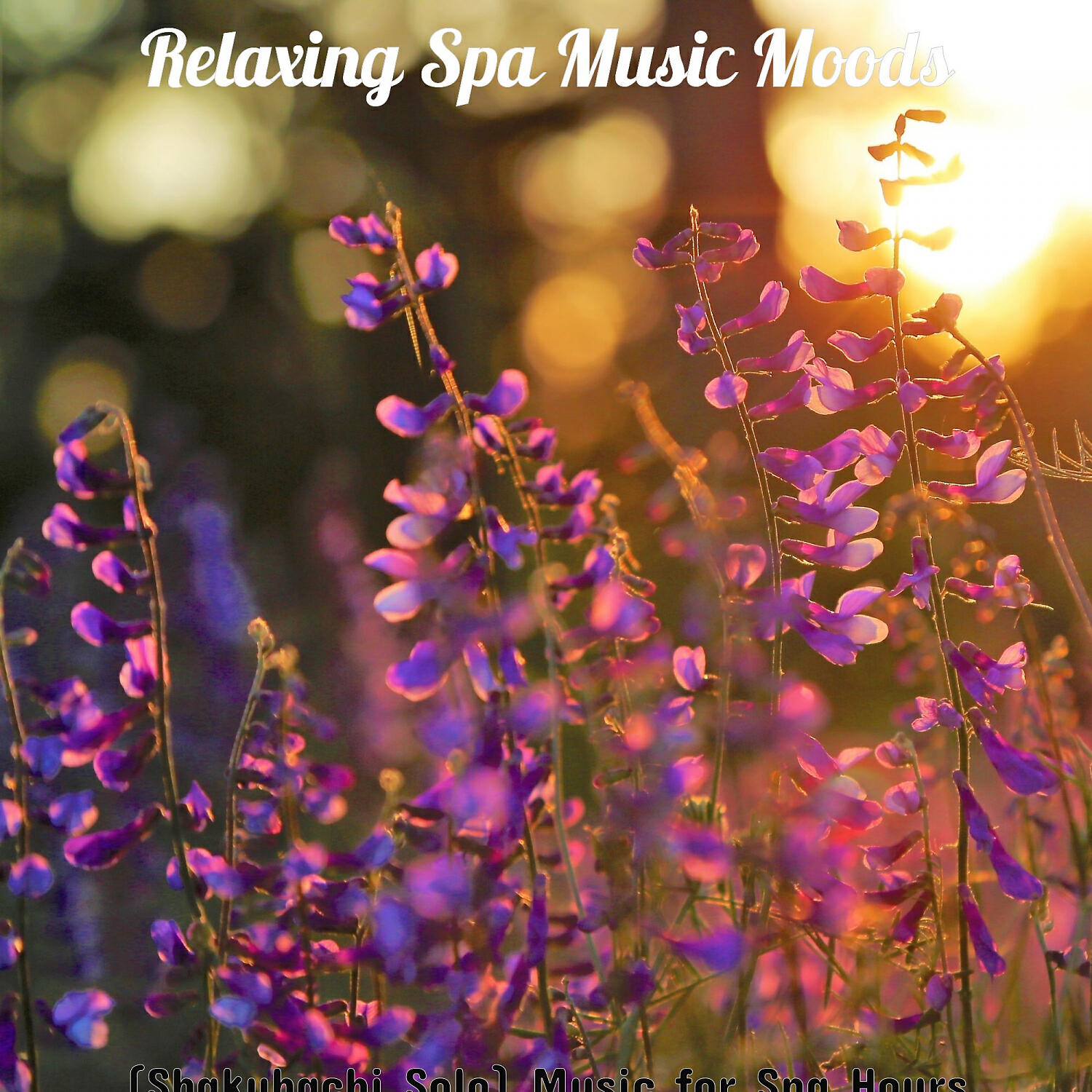 Relaxing Spa Music Moods - Shakuhachi and Guitar Soundtrack for Spa Hours