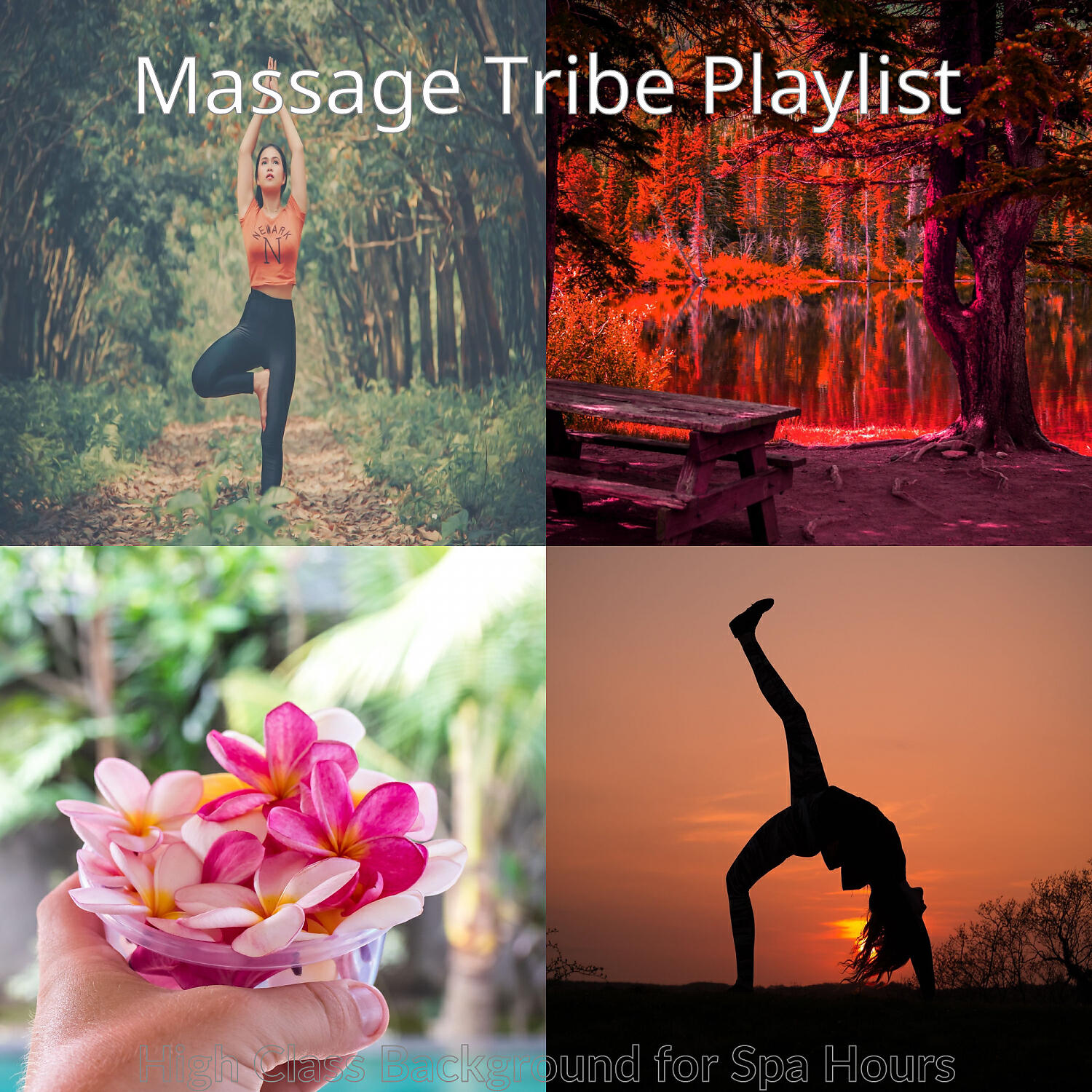 Massage Tribe Playlist - Artistic Moods for Facial Treatments