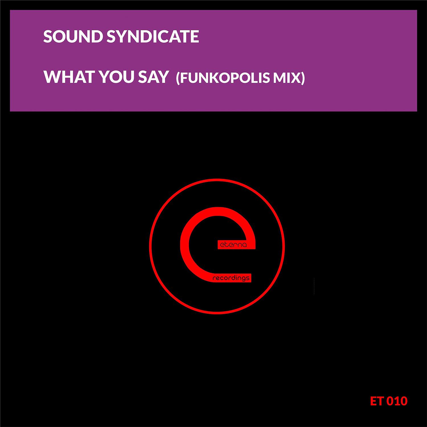 Постер альбома What You Say (Funkopolis Mix)