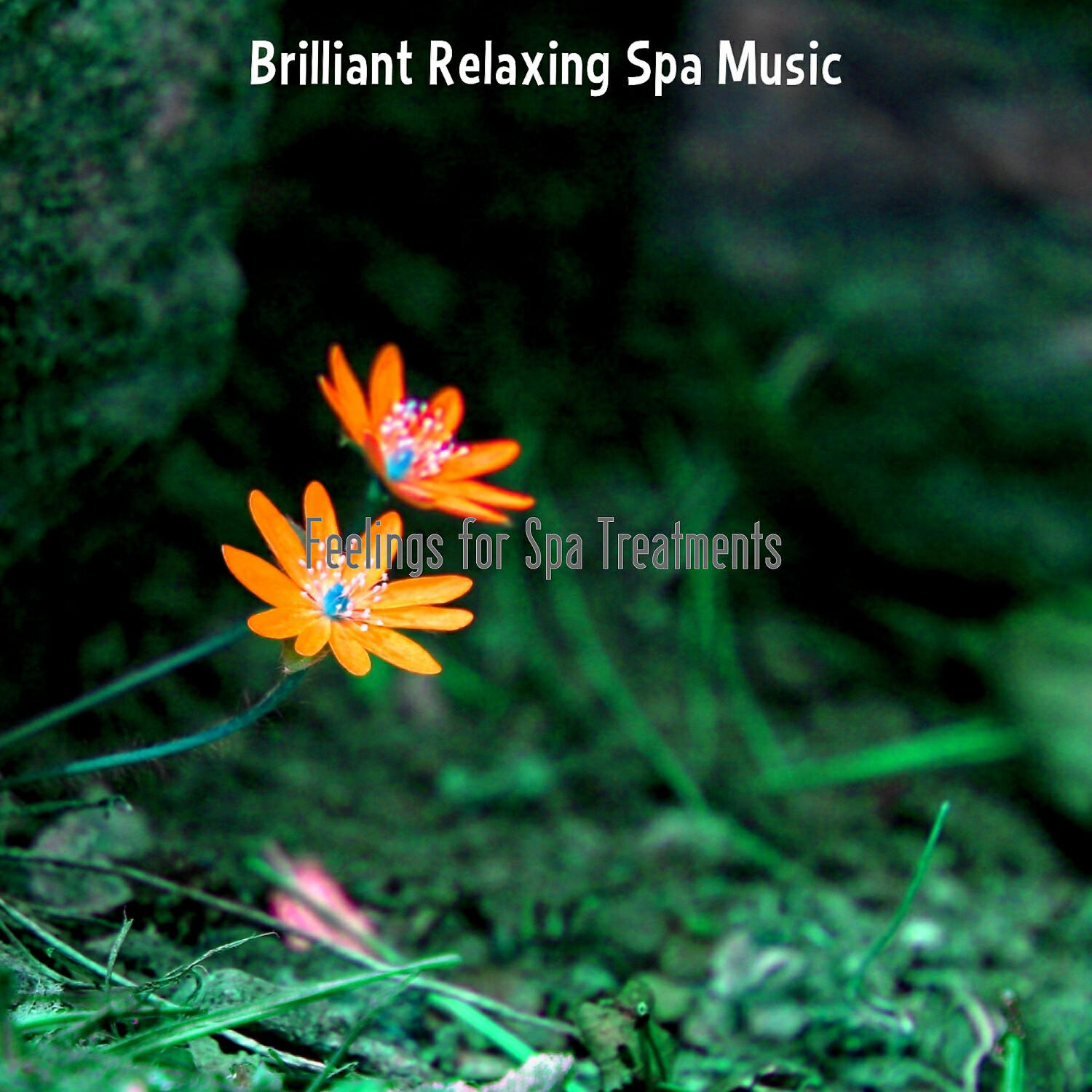 Brilliant Relaxing Spa Music - Inspiring Ambience for Steam Baths